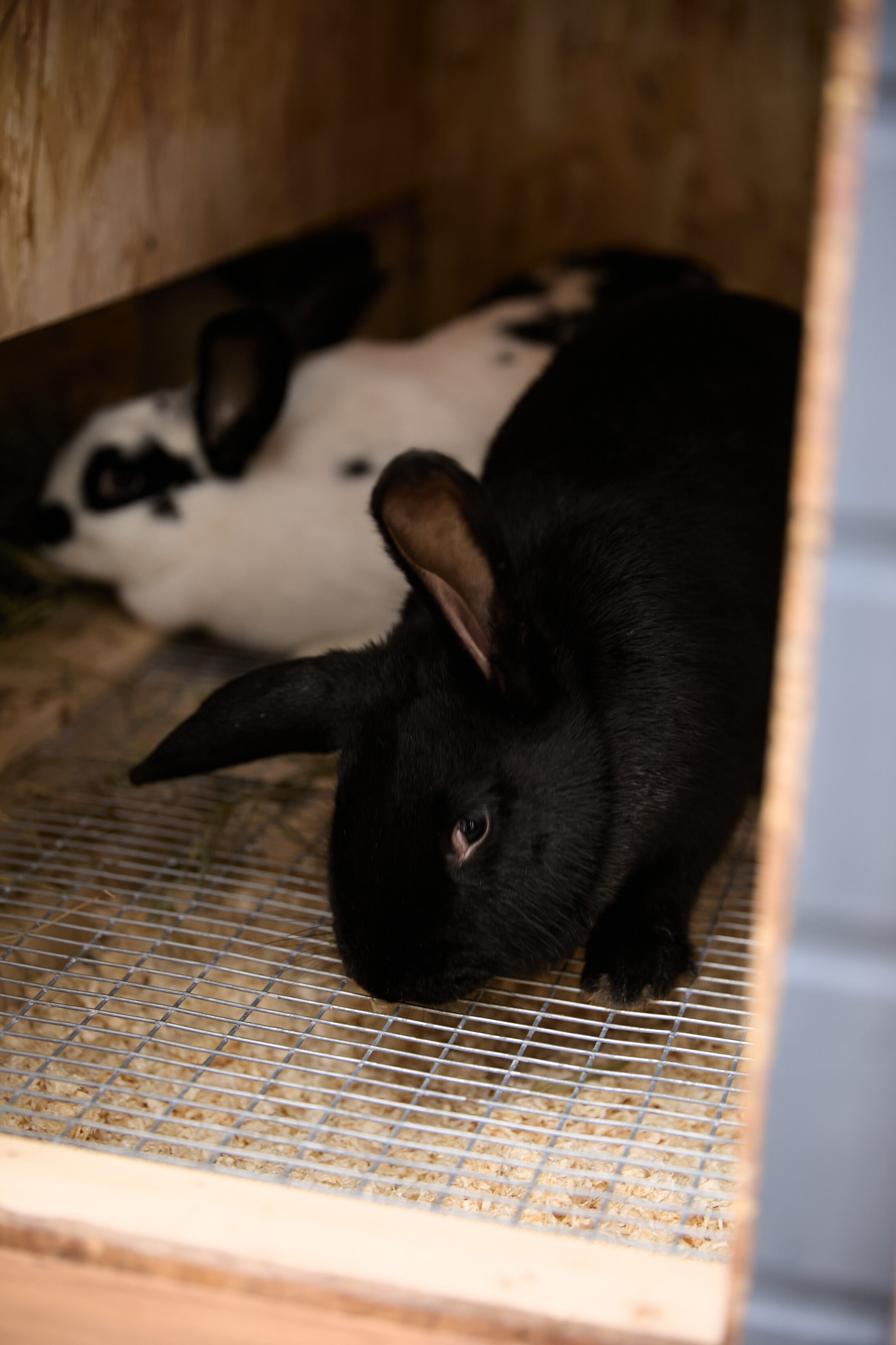 Фото Рябиновый берег