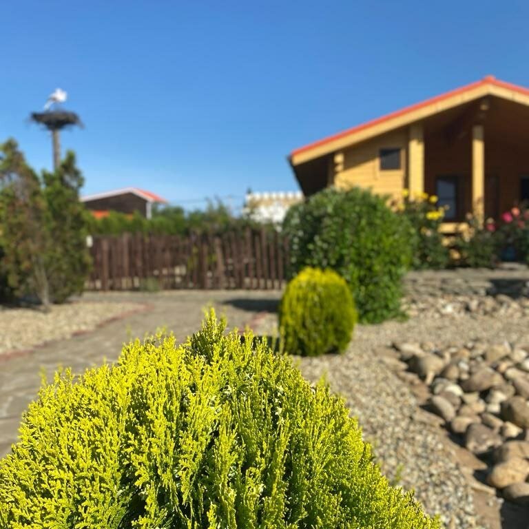 Фото Азов патио