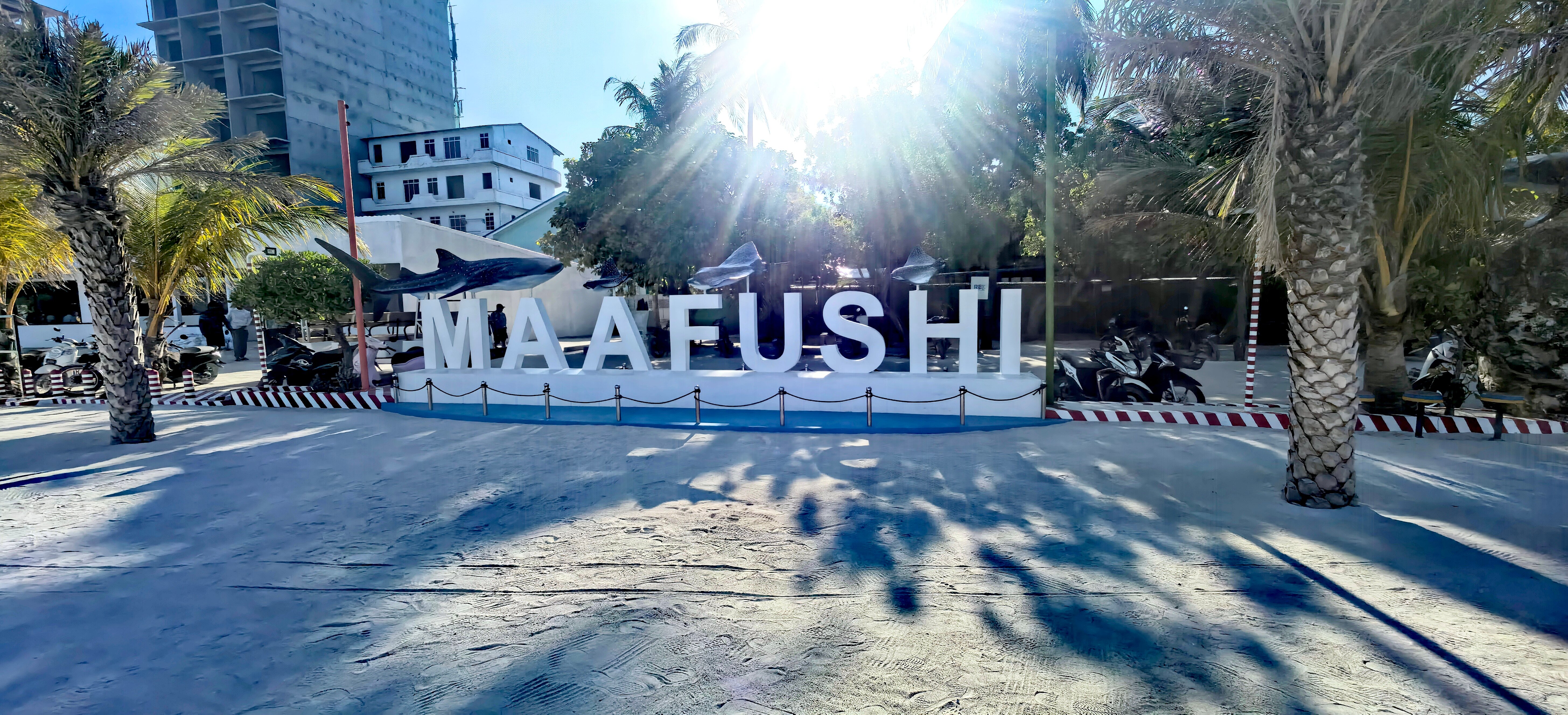 Фото Arena Beach Hotel