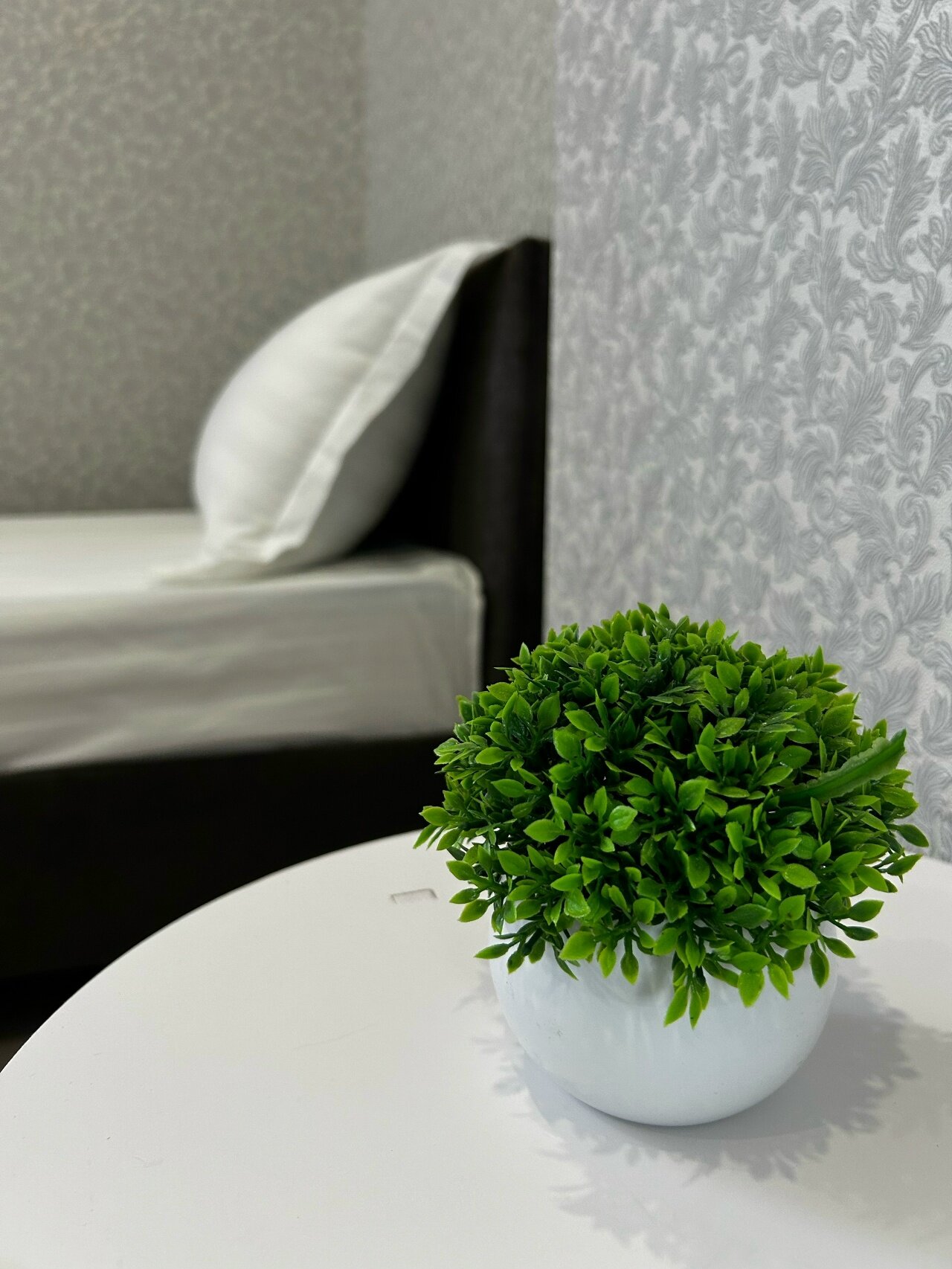 Фото Сердце Кубани