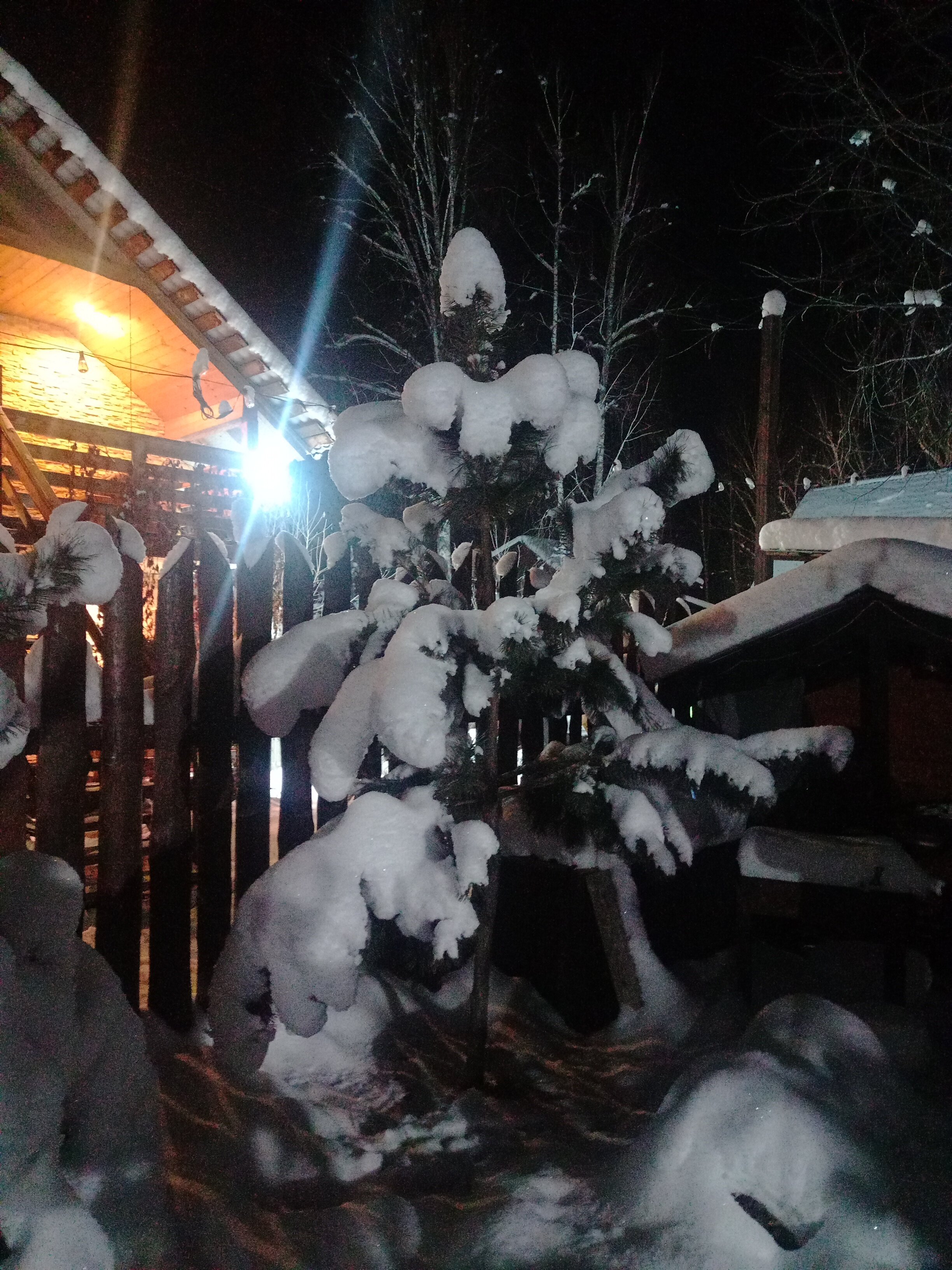 Фото Яшкин Дом