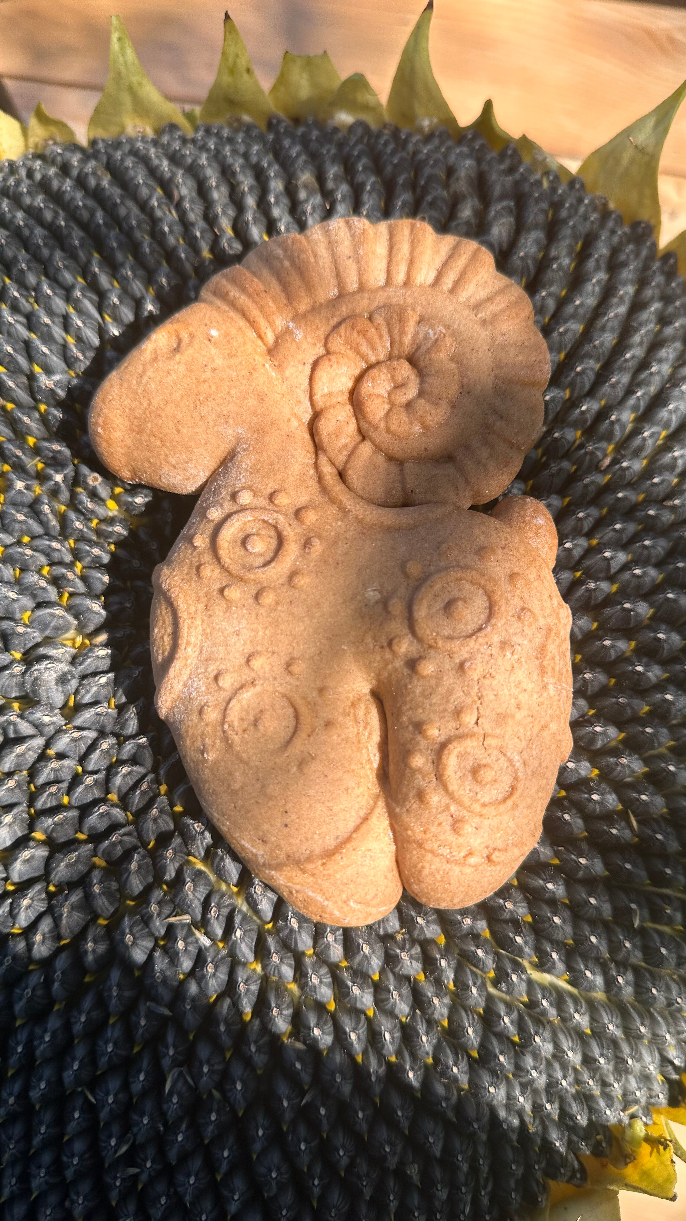 Фото Западный Кавказ