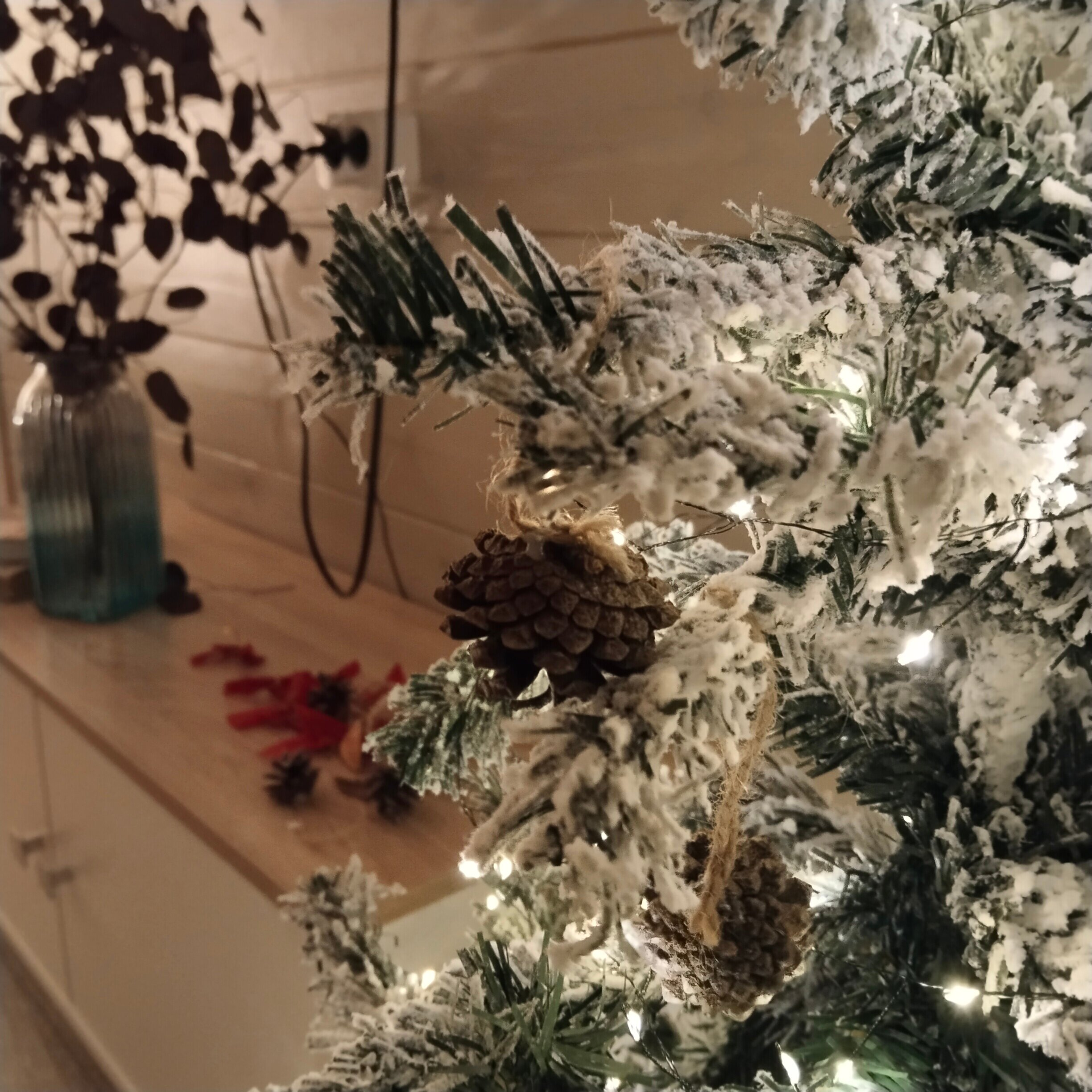 Фото Сосны. Тут