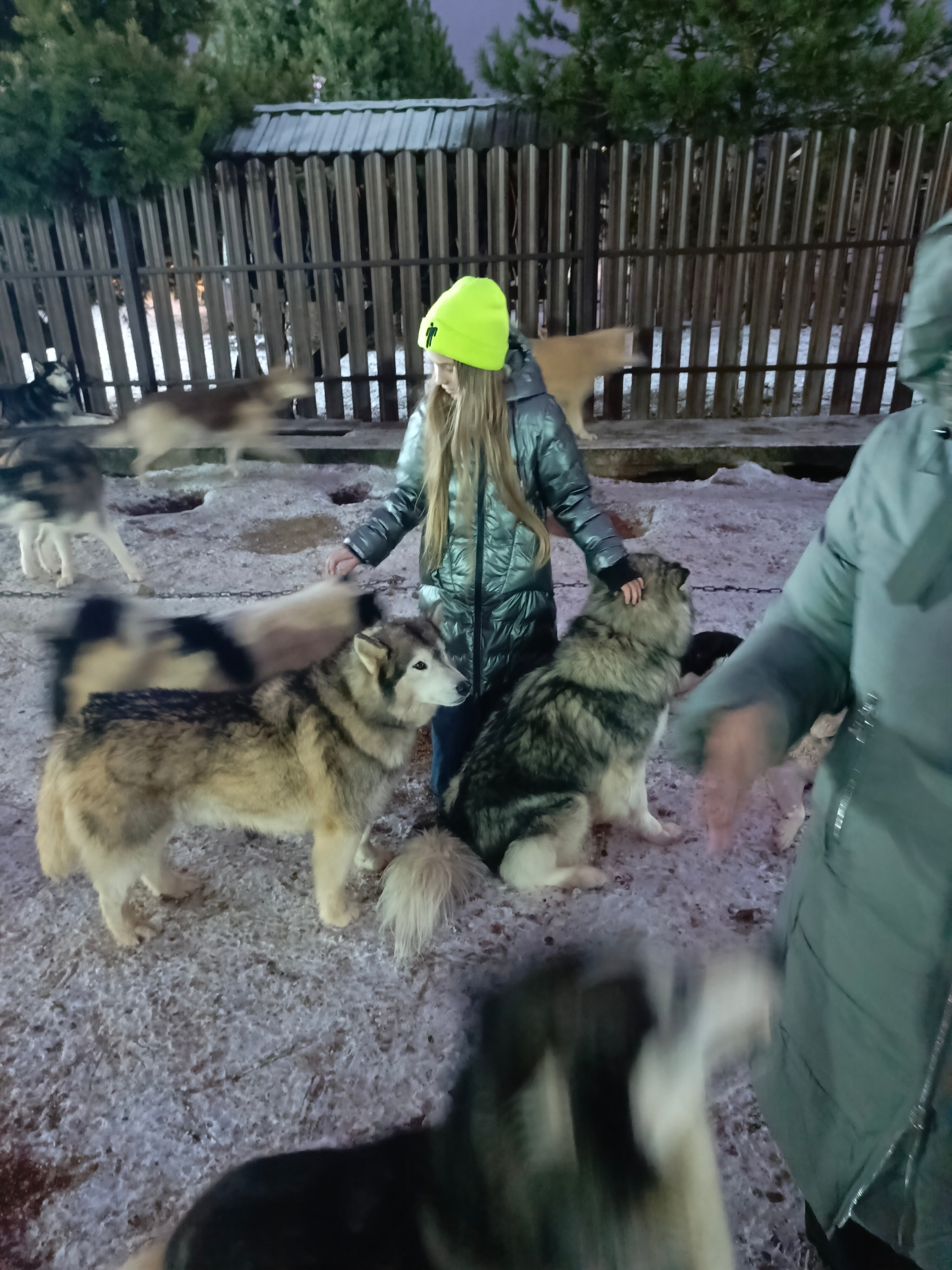 Фото Рузская Аляска