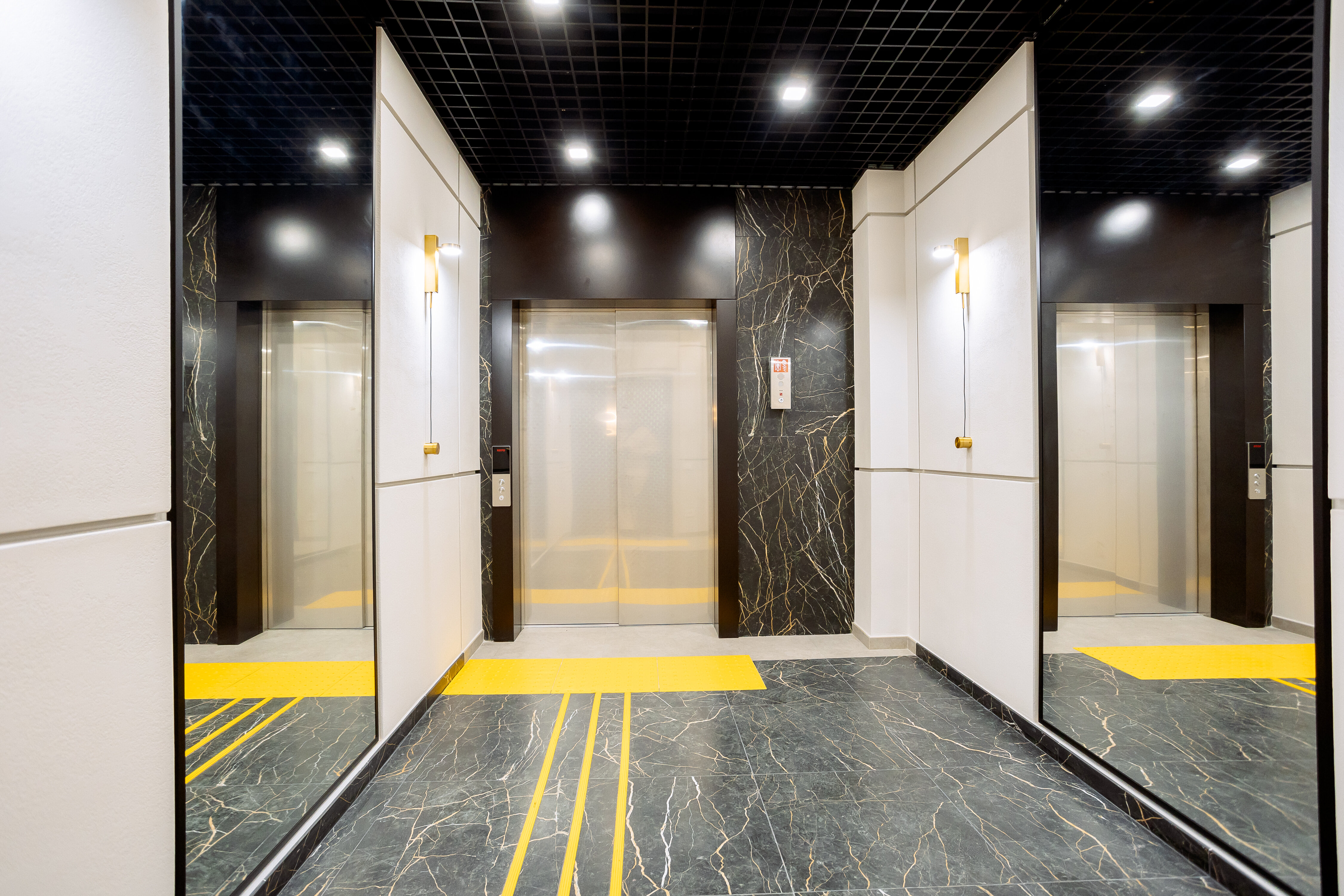 Фото Доминанта