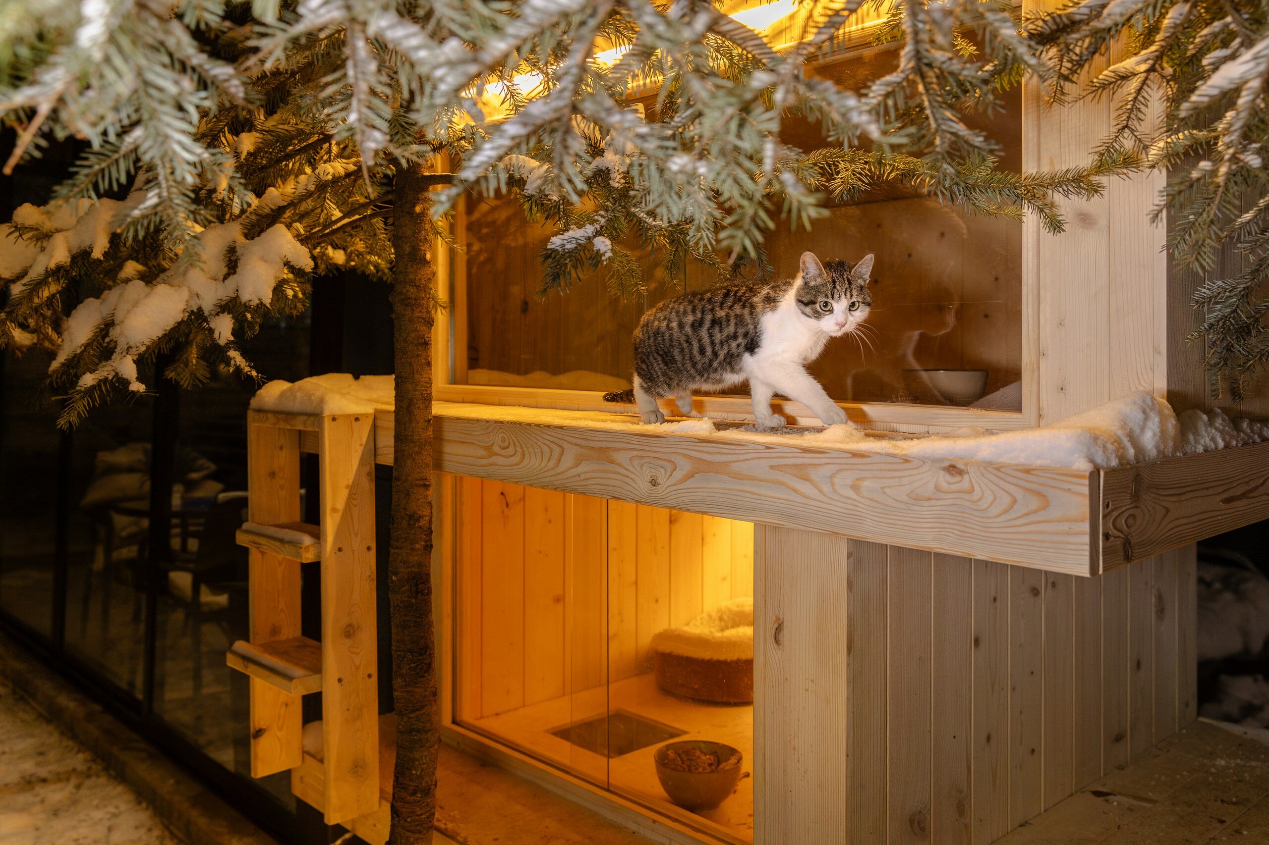 Фото Dombay Winter Hall