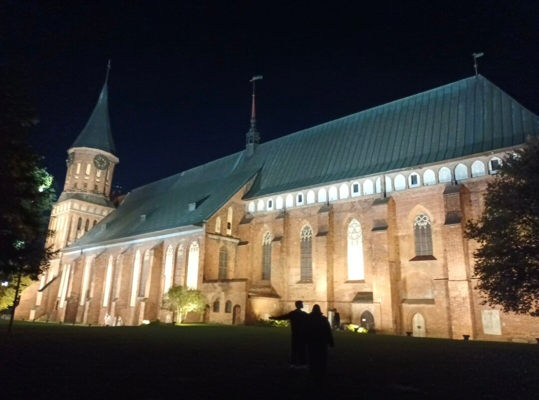 Фото Сосны, Ели и Залив