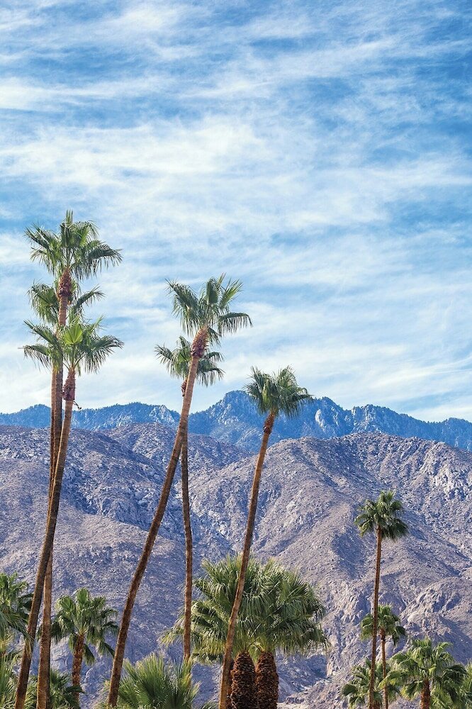 Фото WorldMark Palm Springs