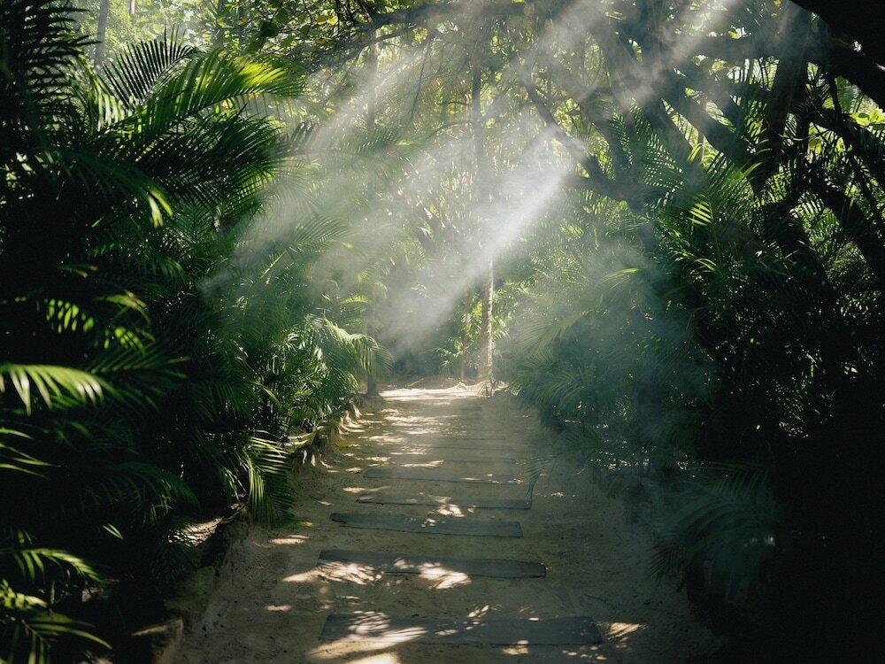 Фото Nomade Tulum