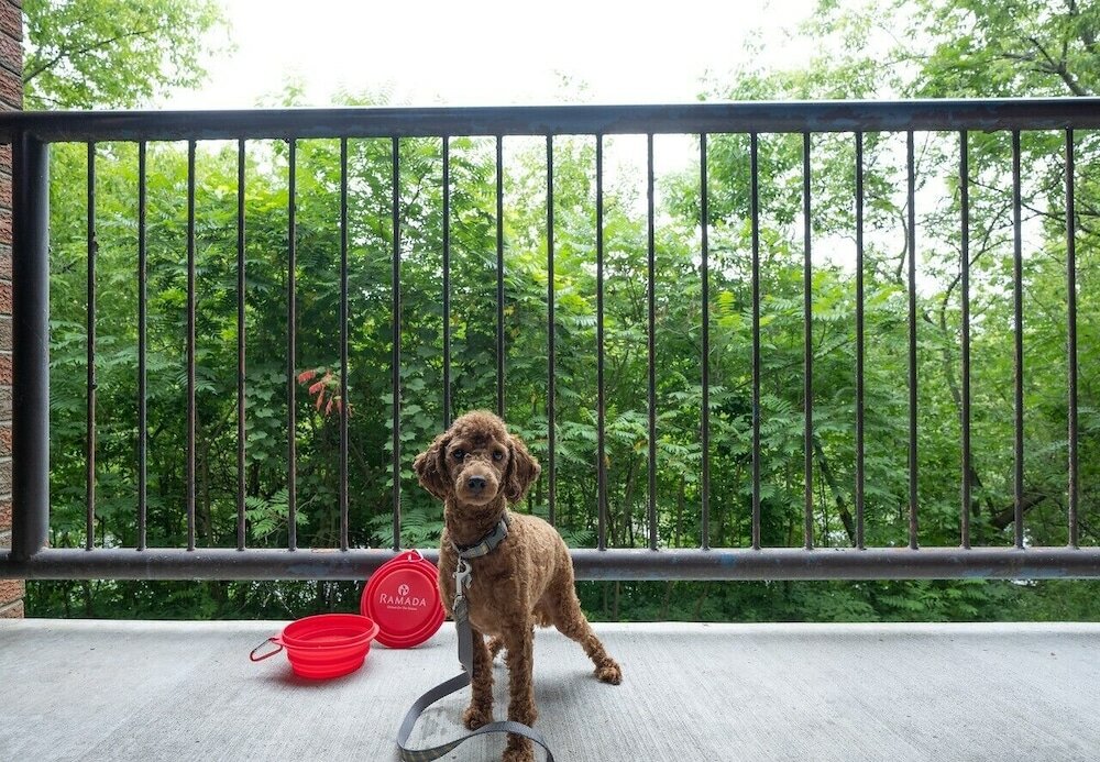 Фото Ramada by Wyndham Ottawa On The Rideau