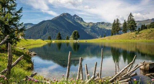 Внешний вид отеля Eva, Village в Заальбах-Хинтерглемме, фото 3