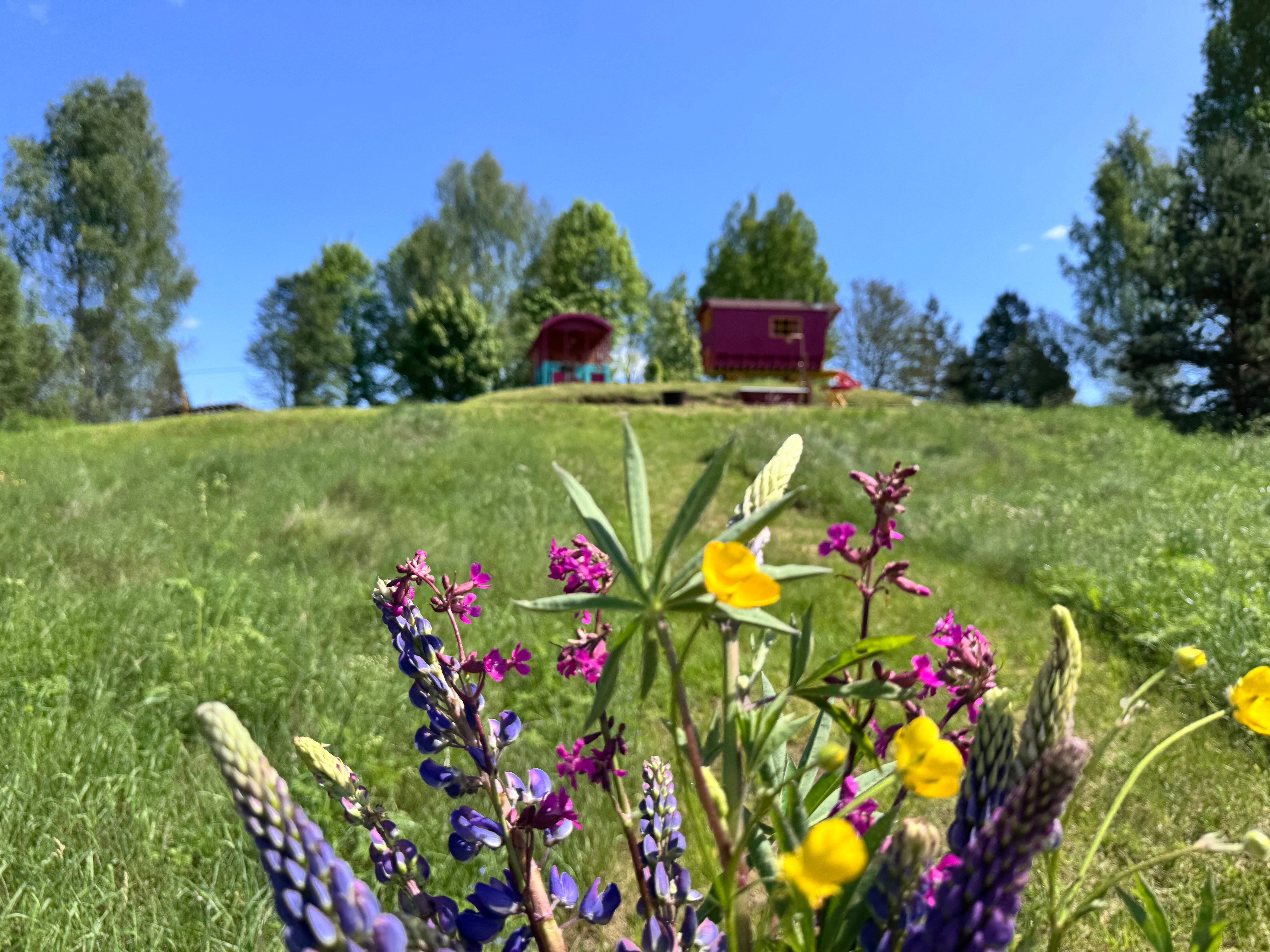 Фото Кибитка на холме