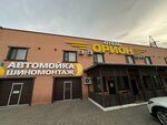 Орион (Gibridnaya ulitsa, 21), hotel