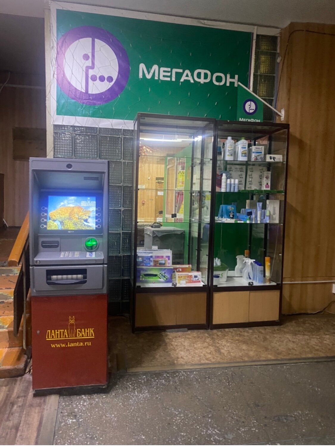 Фото Солнечная