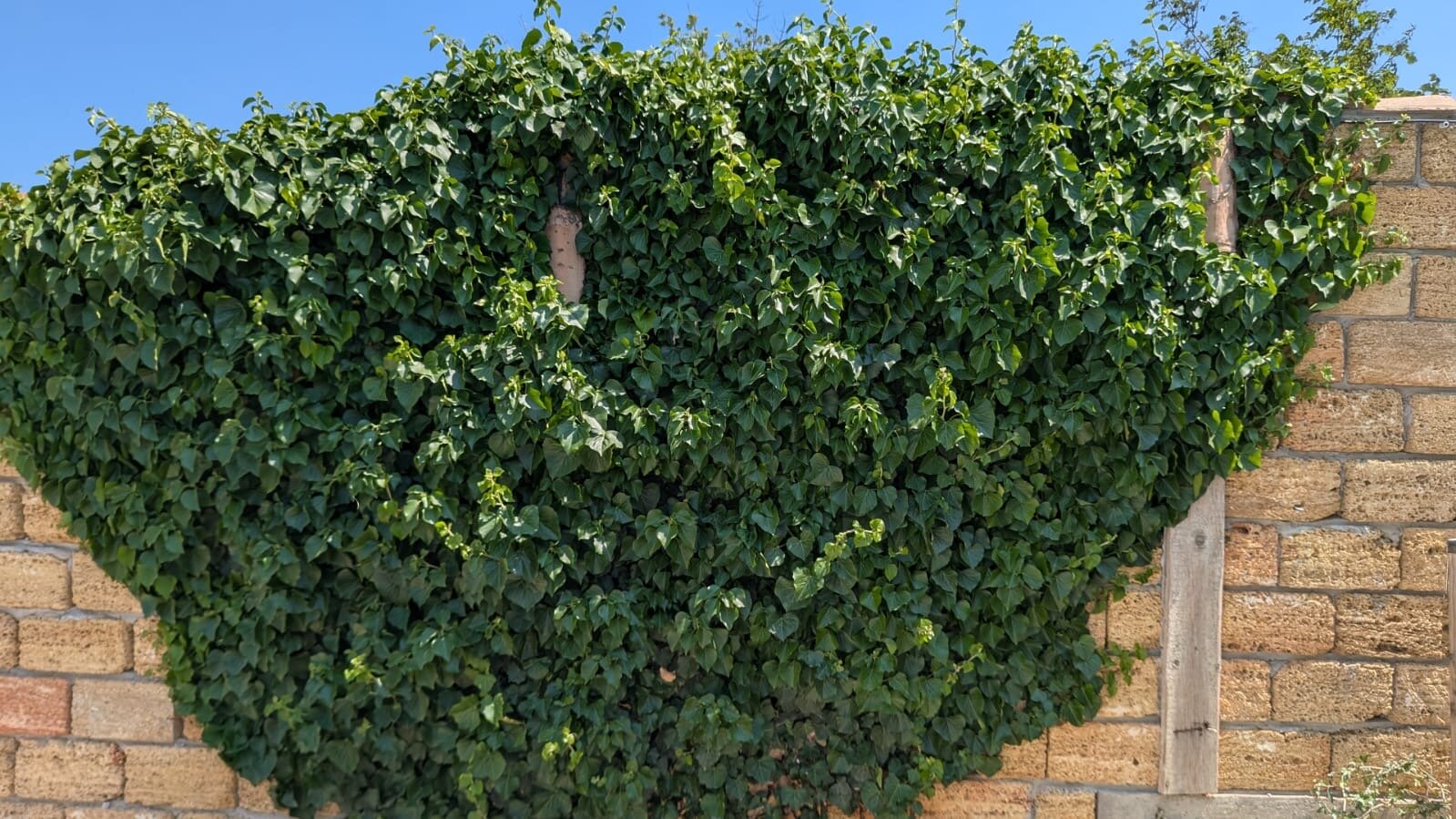 Фото Villa Ultramarin