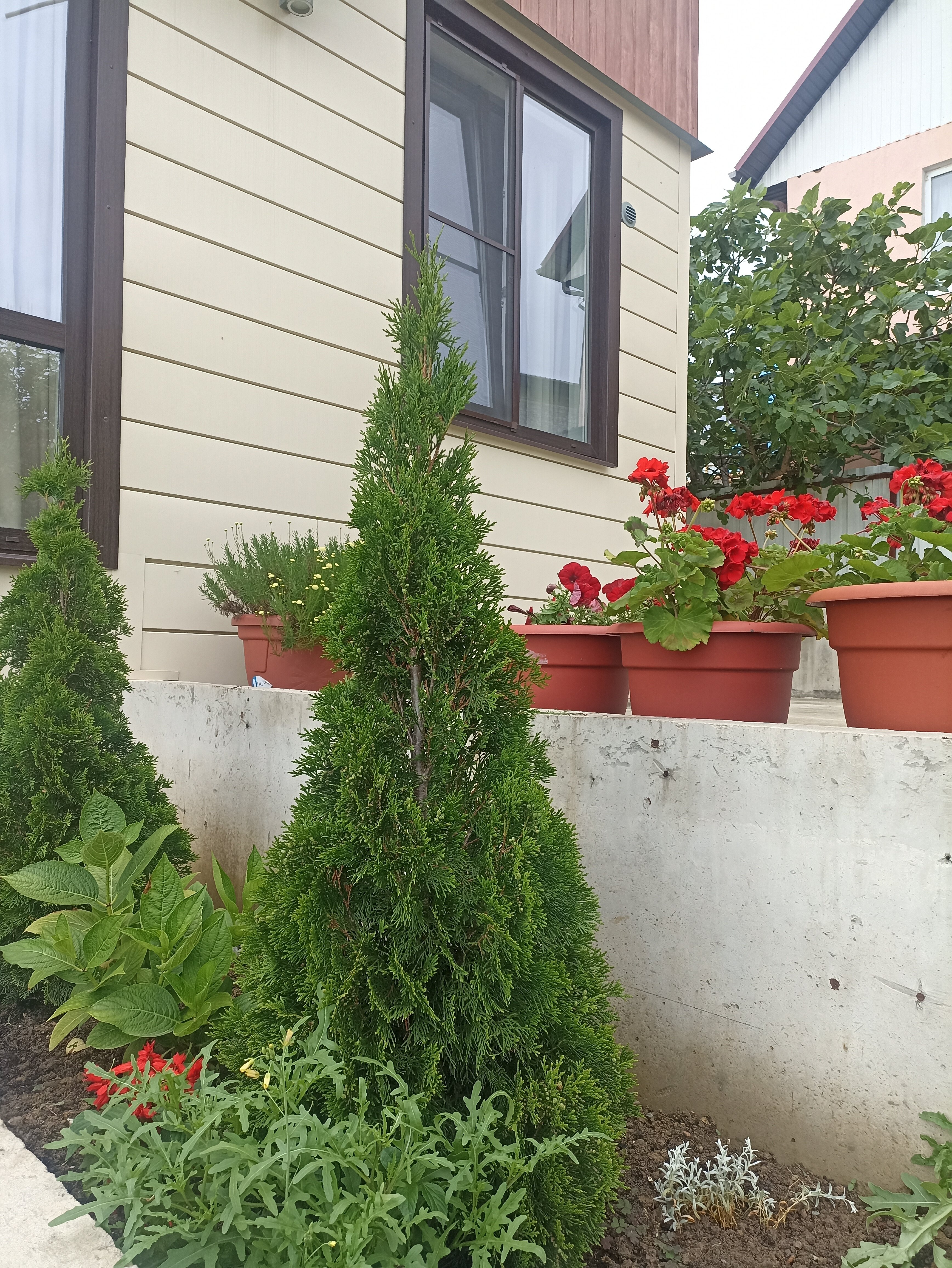 Фото Видисвет