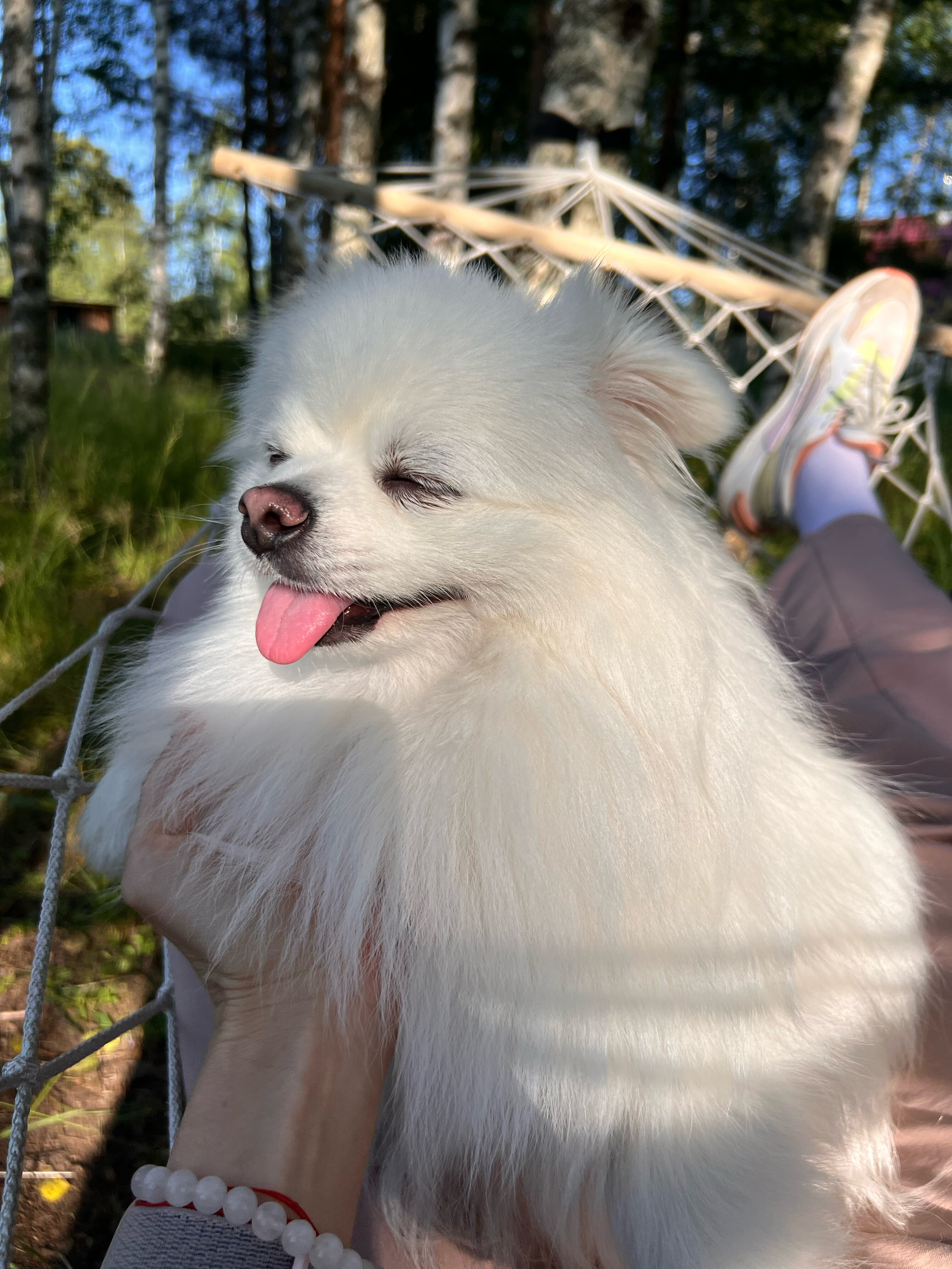 Фото Petra eco village