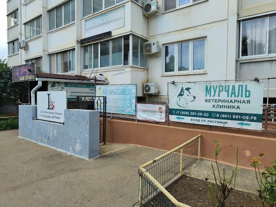 Foreign language courses Foreign language courses, Krasnodar, photo