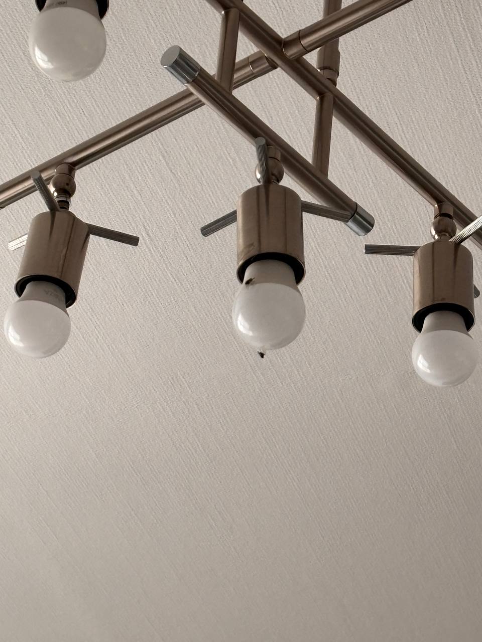 Фото Добрые Сутки