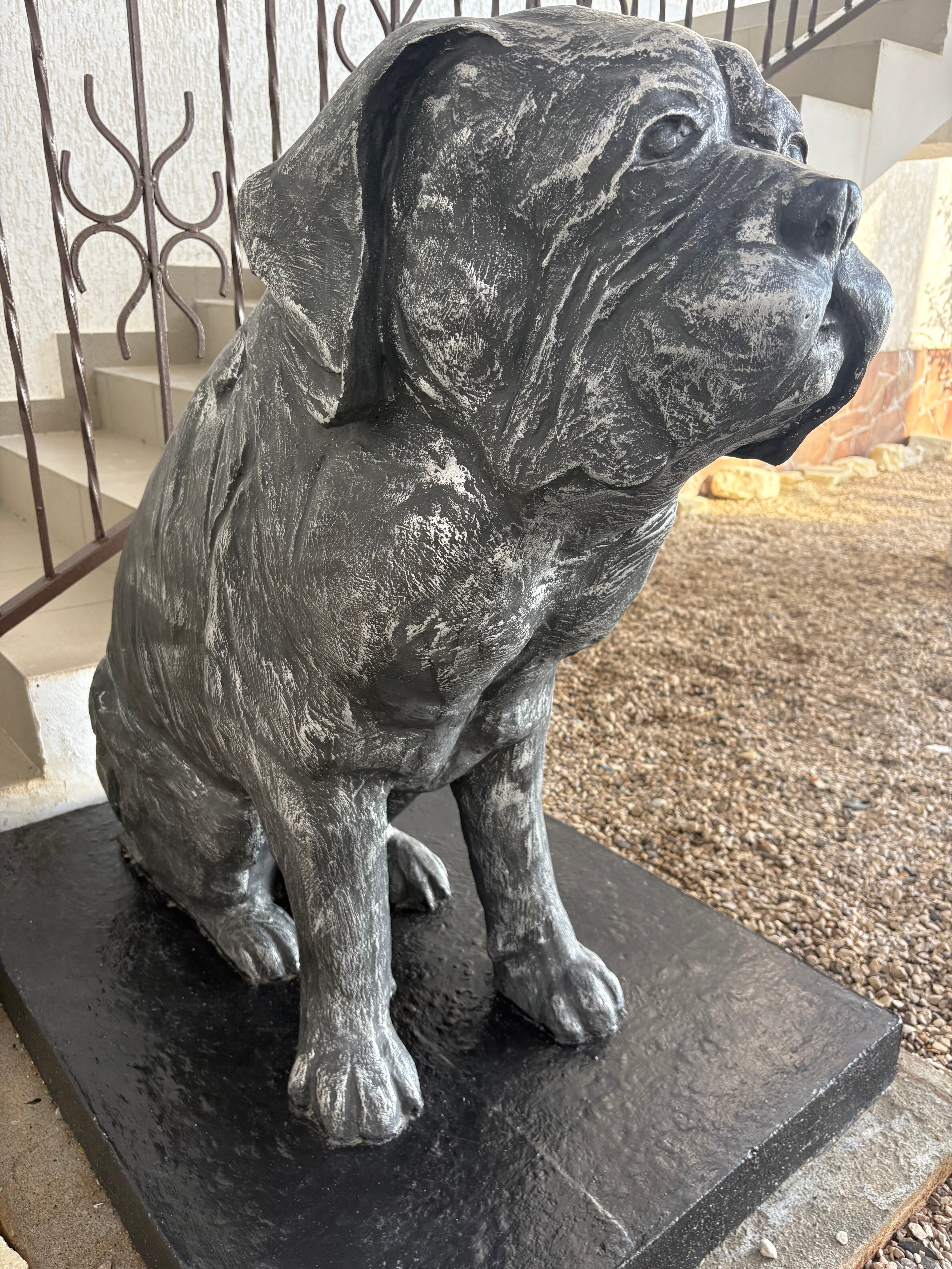 Фото Арбика