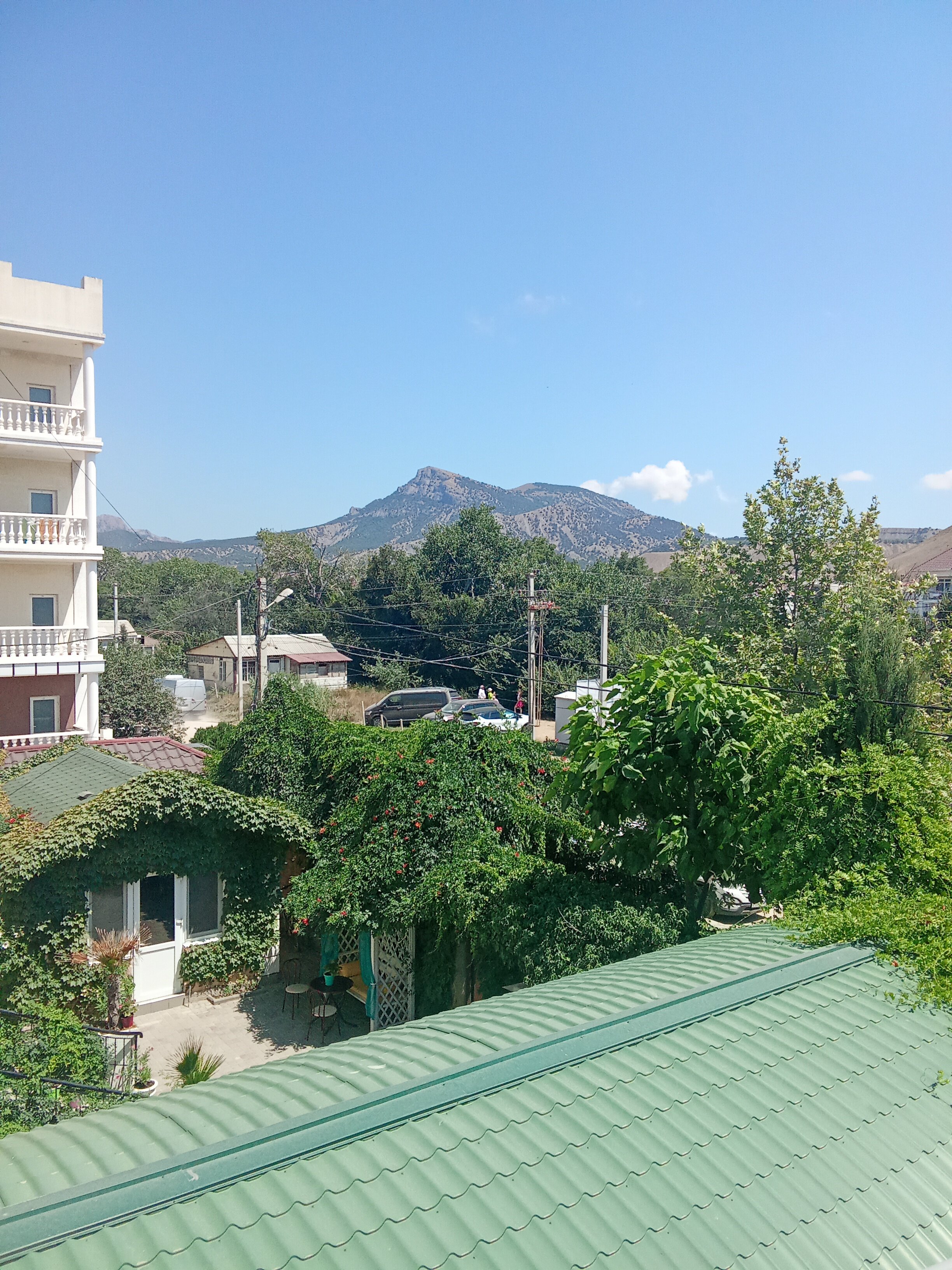 Фото Баттерфляй