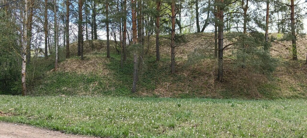 Archaeological monument Городище Полежанковское, II половина I тысячи до н.э., Smolensk, photo