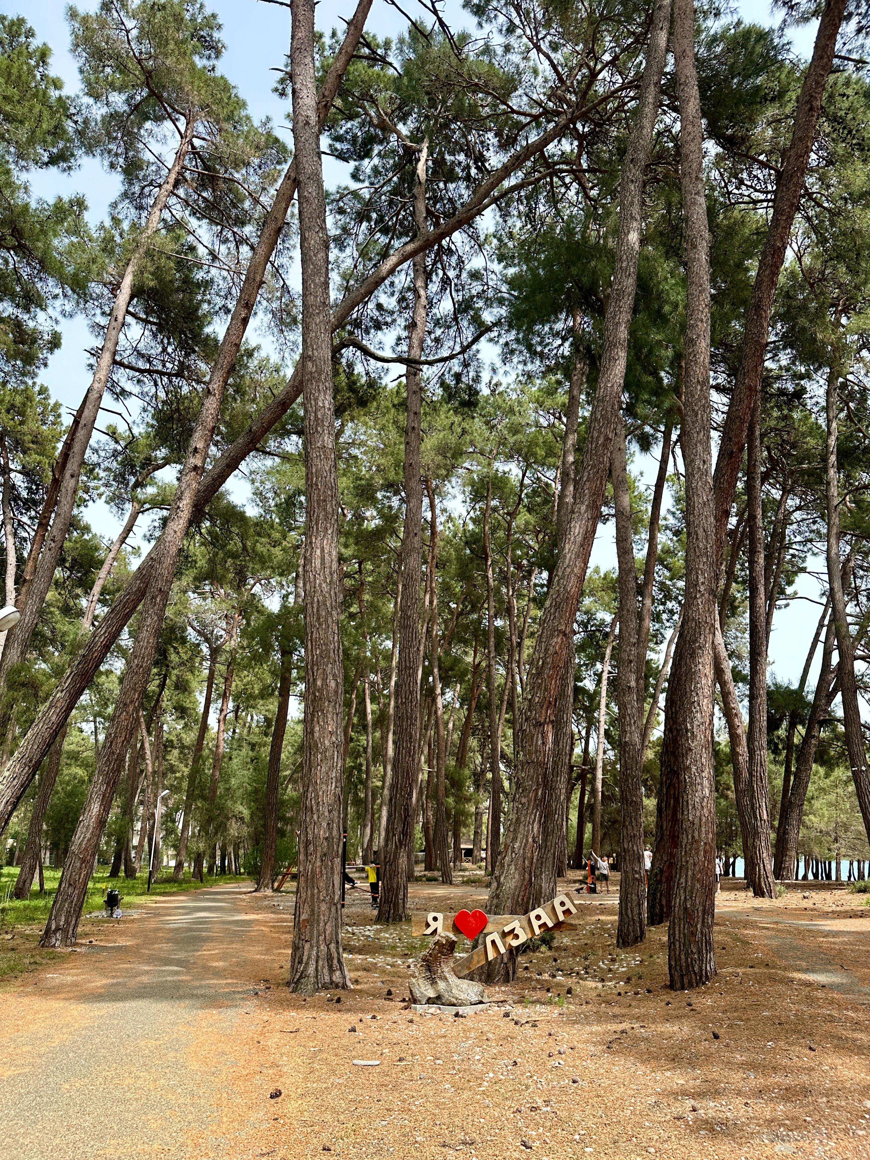 Фото Гостевой дом Мира