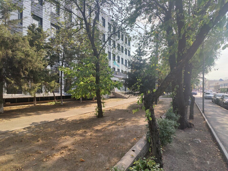 Publishing house - Website for the Sphere, Almaty, photo