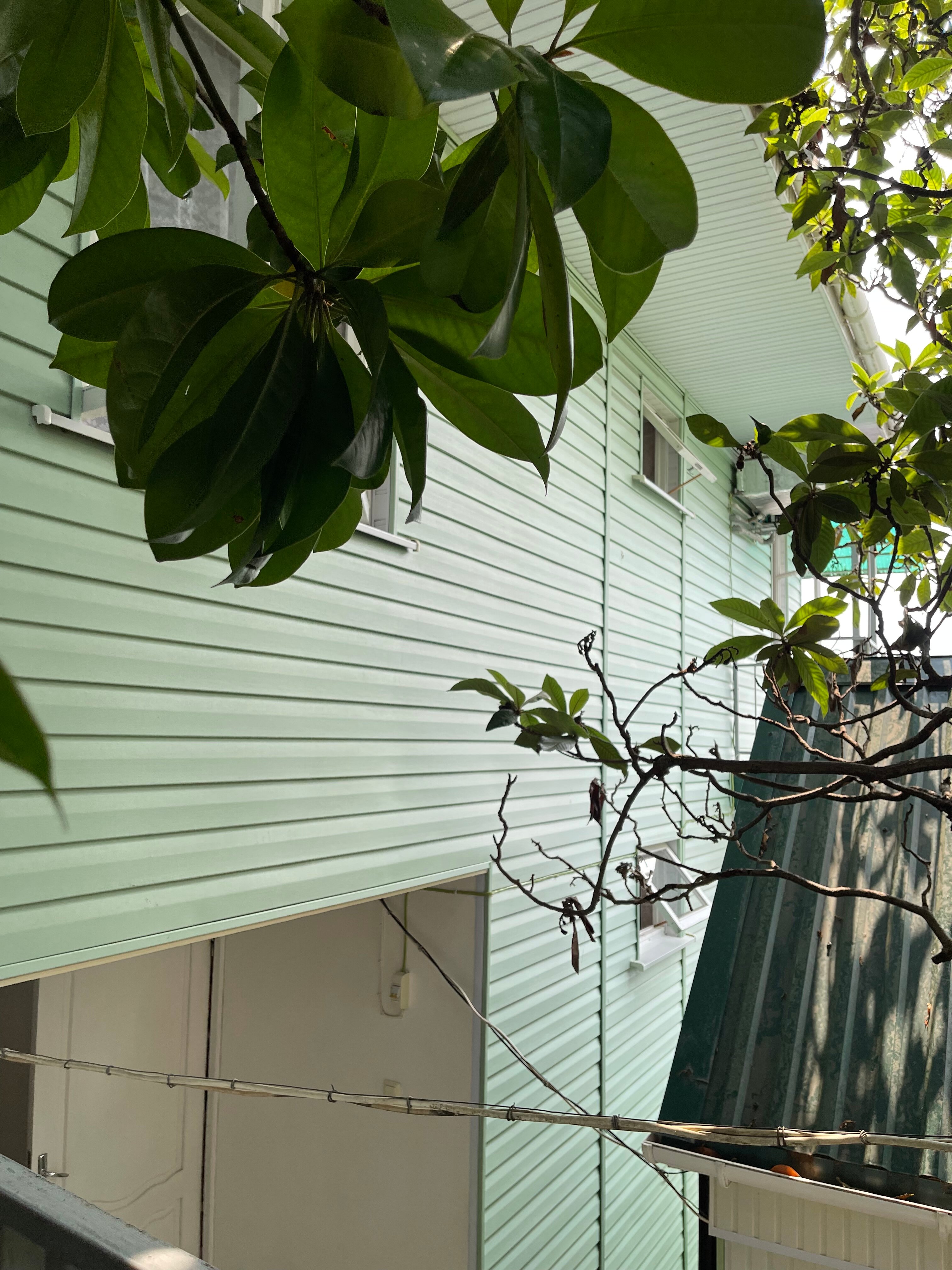 Фото Под Магнолией