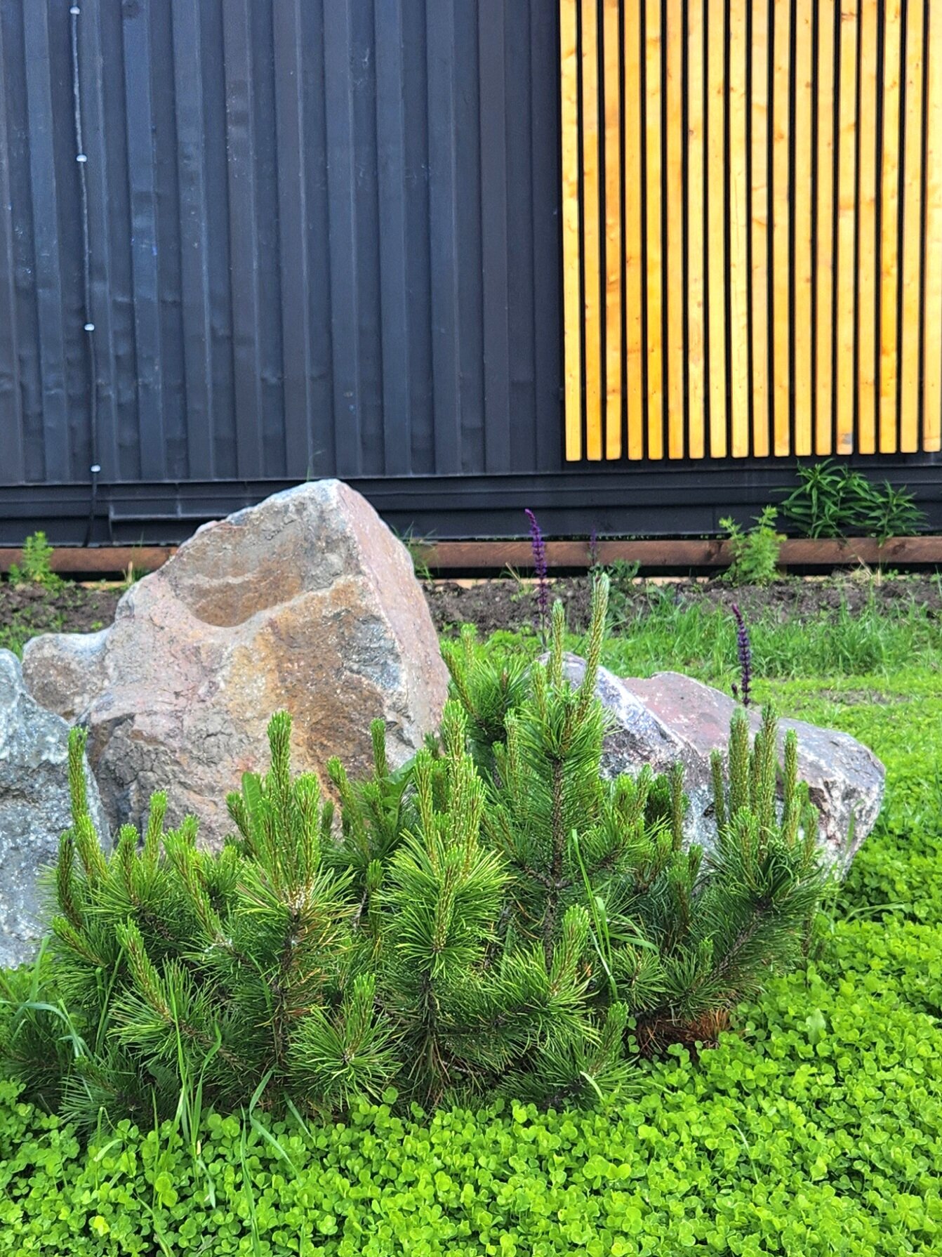 Фото Курки Хауз