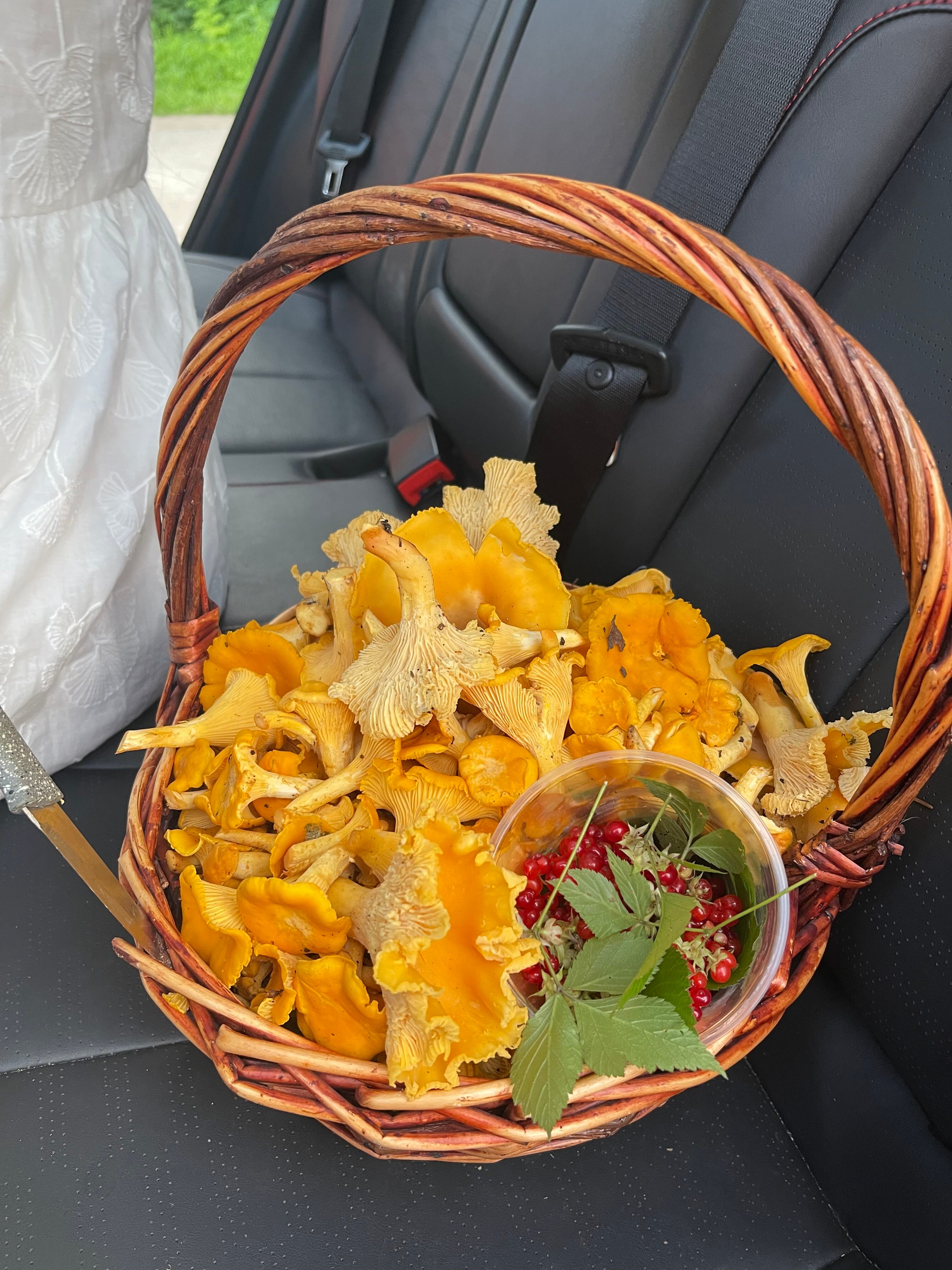 Фото Kosmovo Village