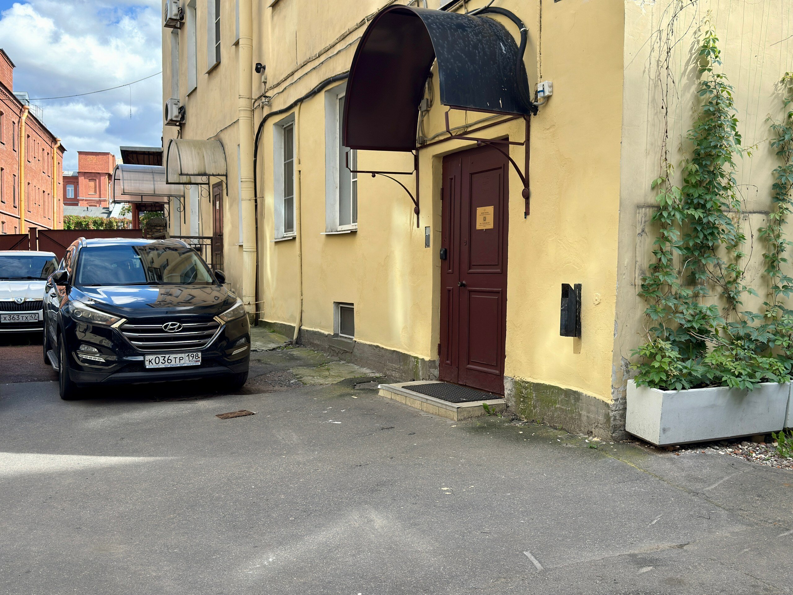 Фото Грин Грэйп SyncotelHome