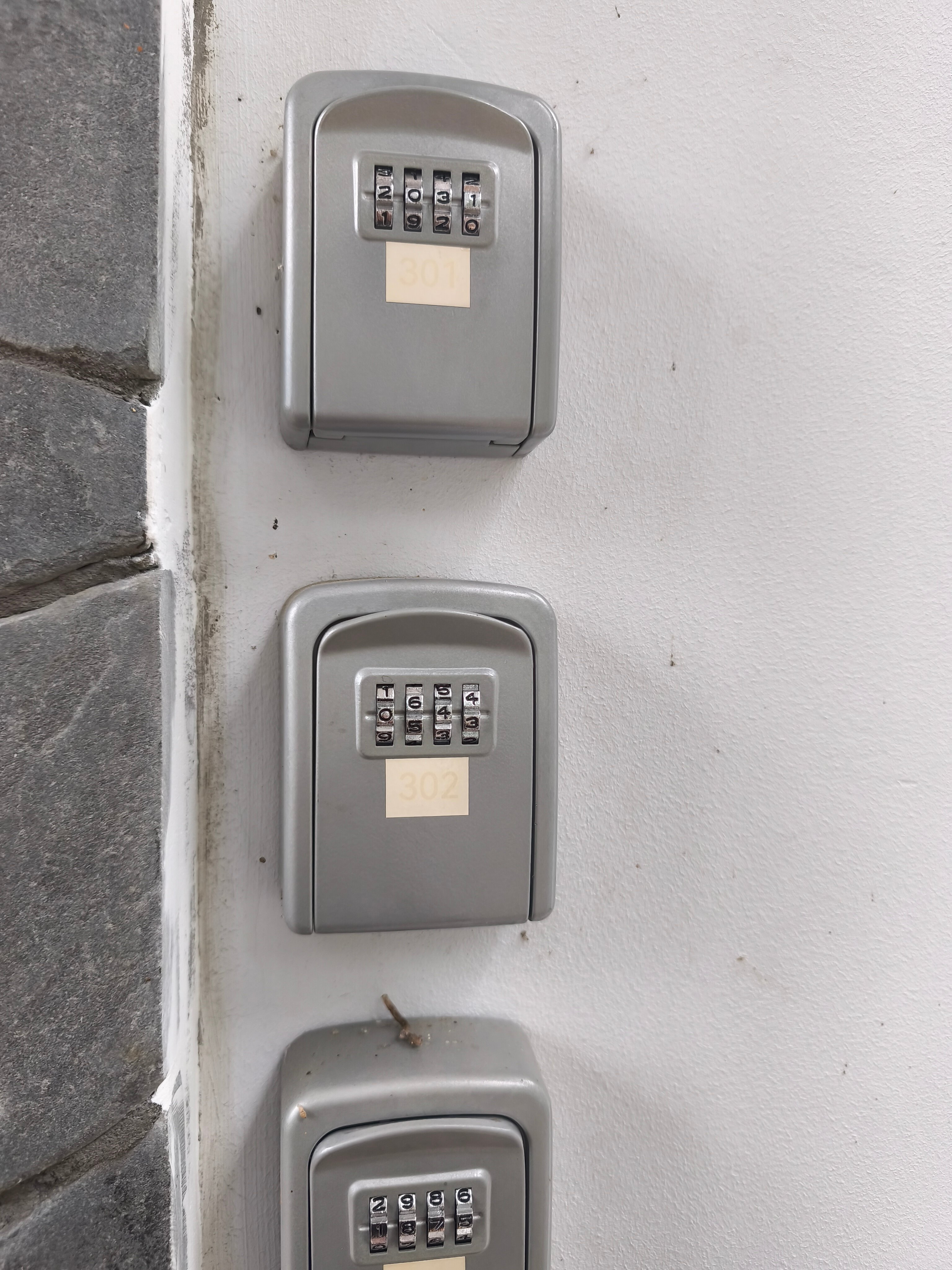 Фото Южный Кедр