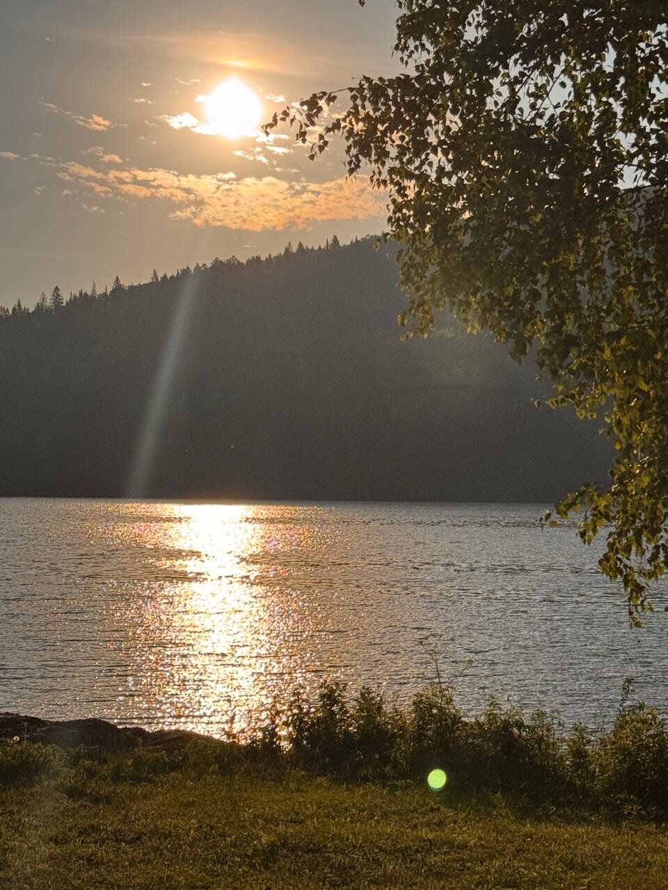 Фото Прилесье