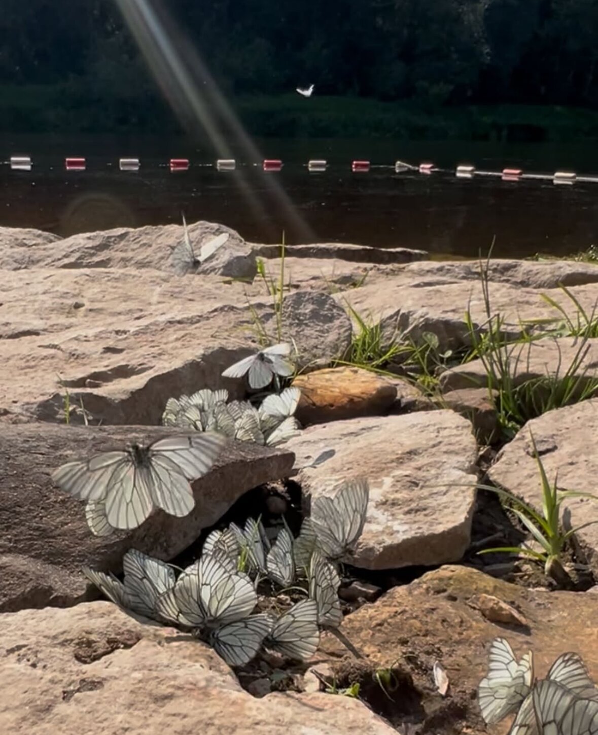 Фото Каменецкие Купели