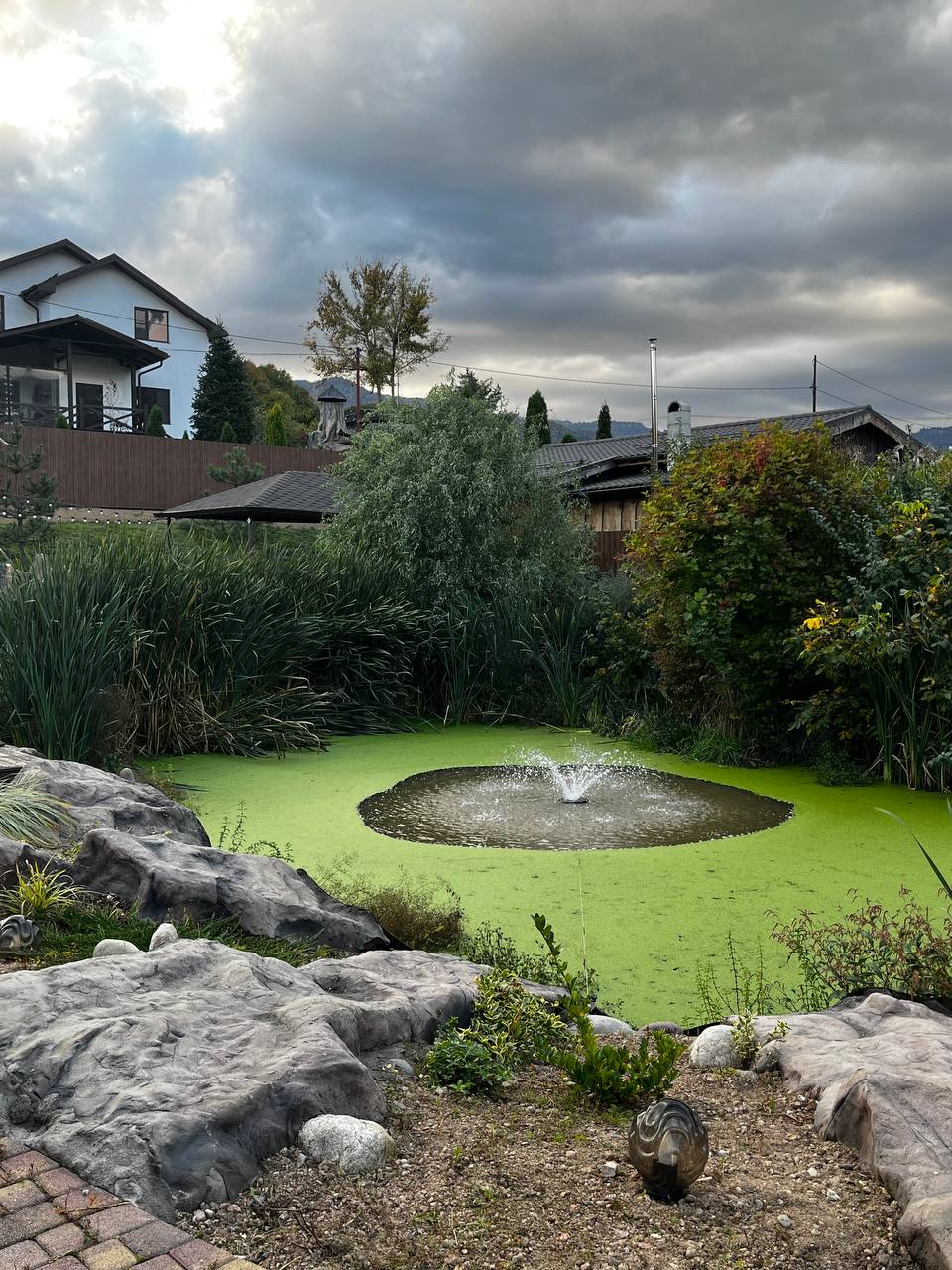 Фото АльтаРио