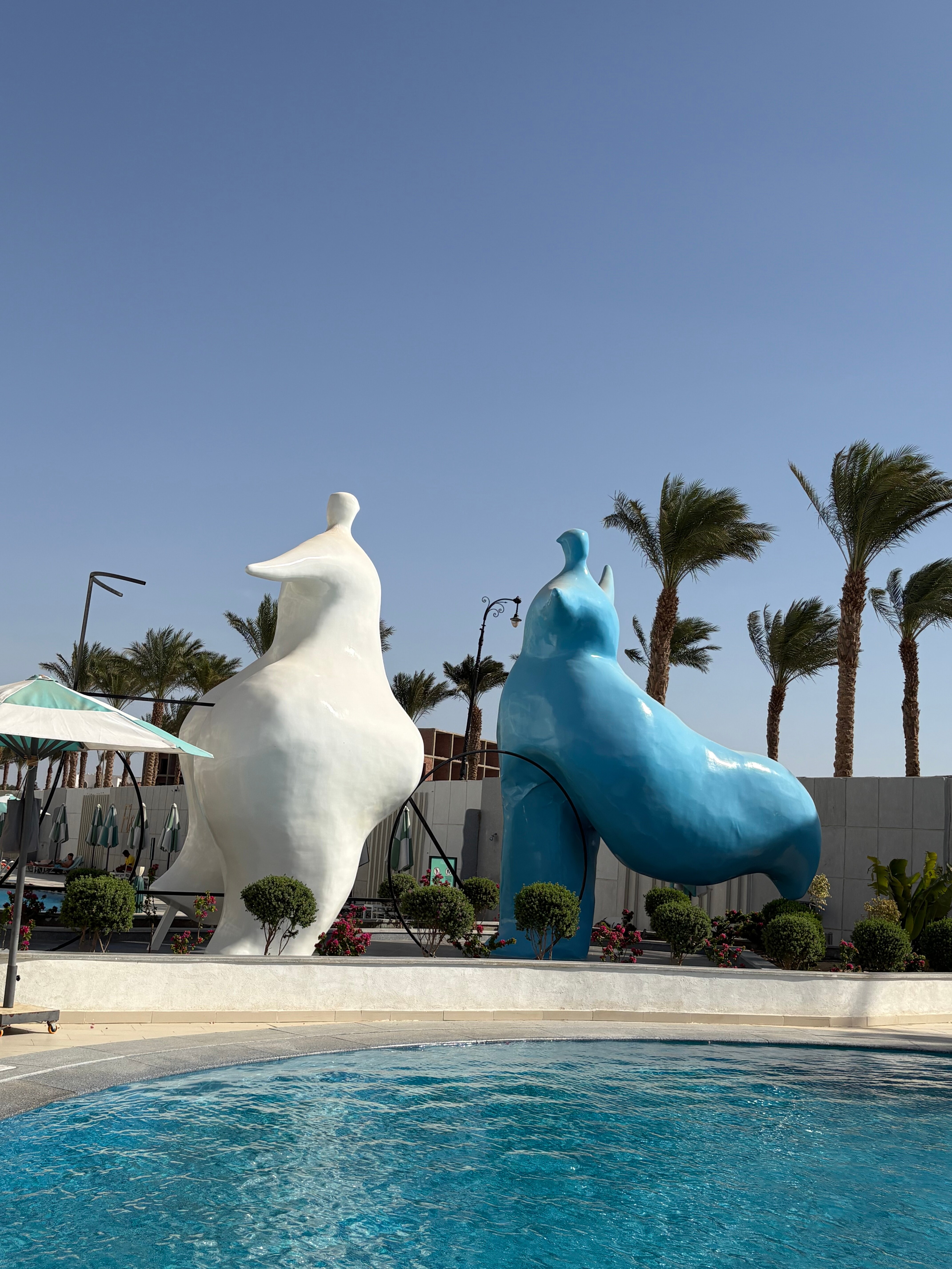 Фото Flow Spectrum Resort Sahl Hasheesh