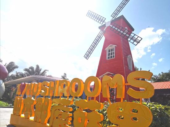 Фото Mushrooms Inn