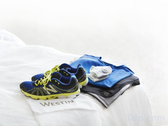 Фото The Westin Ottawa