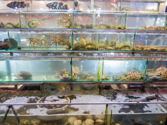 Фото Aquasun Hotel