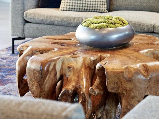 Фото Ac Hotel by Marriott San Jose Santa Clara