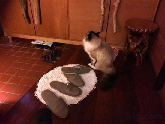 Фото Milk-ya Women-Only Guest House