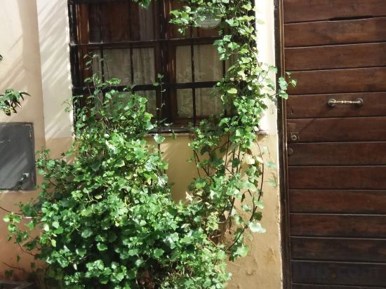 Фото Гостевой Дом B&b Ventisei Scalini a Trastevere