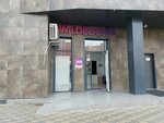 Wildberries (ulitsa imeni Snesareva, 10к1), point of delivery