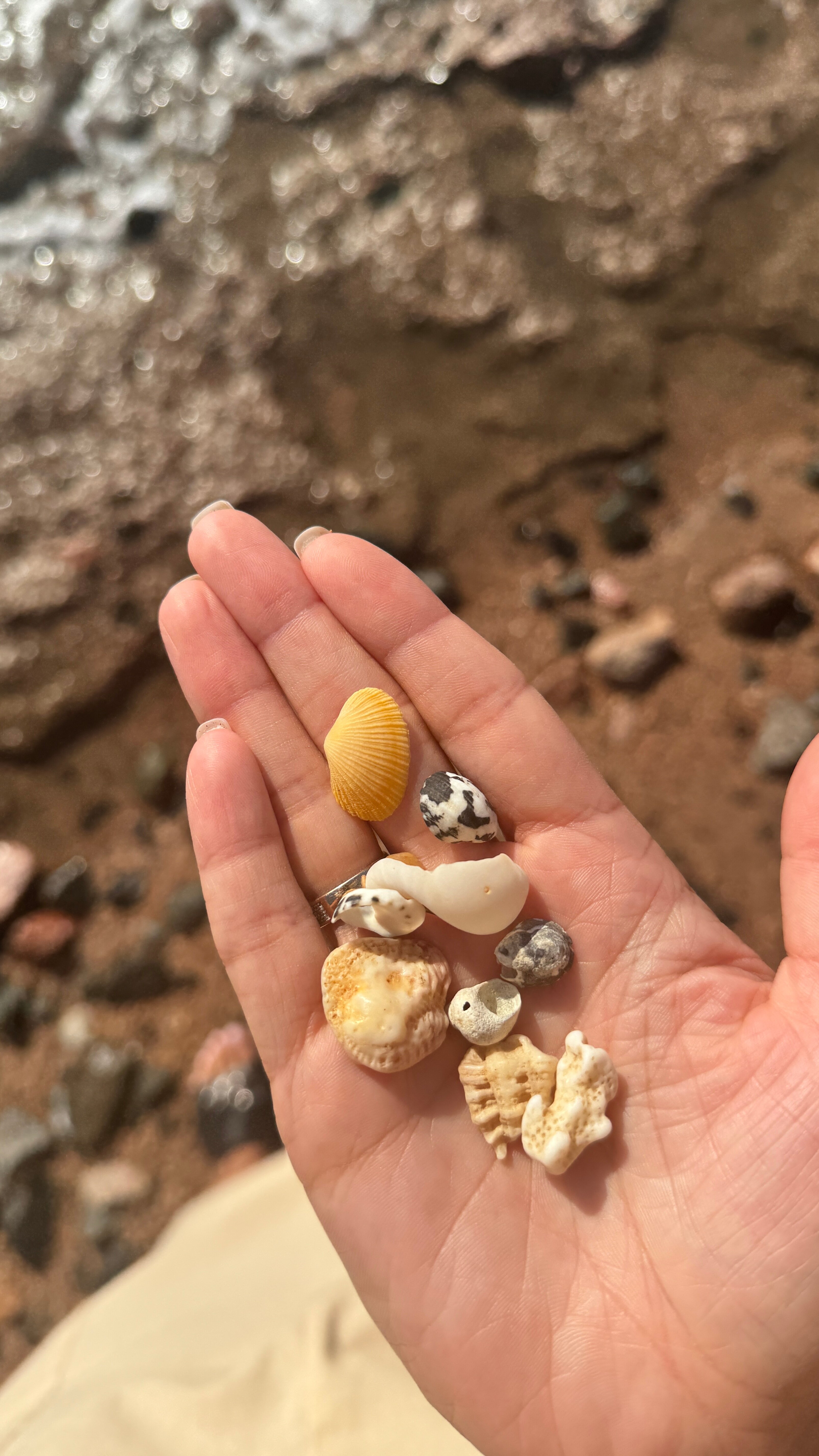 Фото Ecotel Dahab Bay View Resort