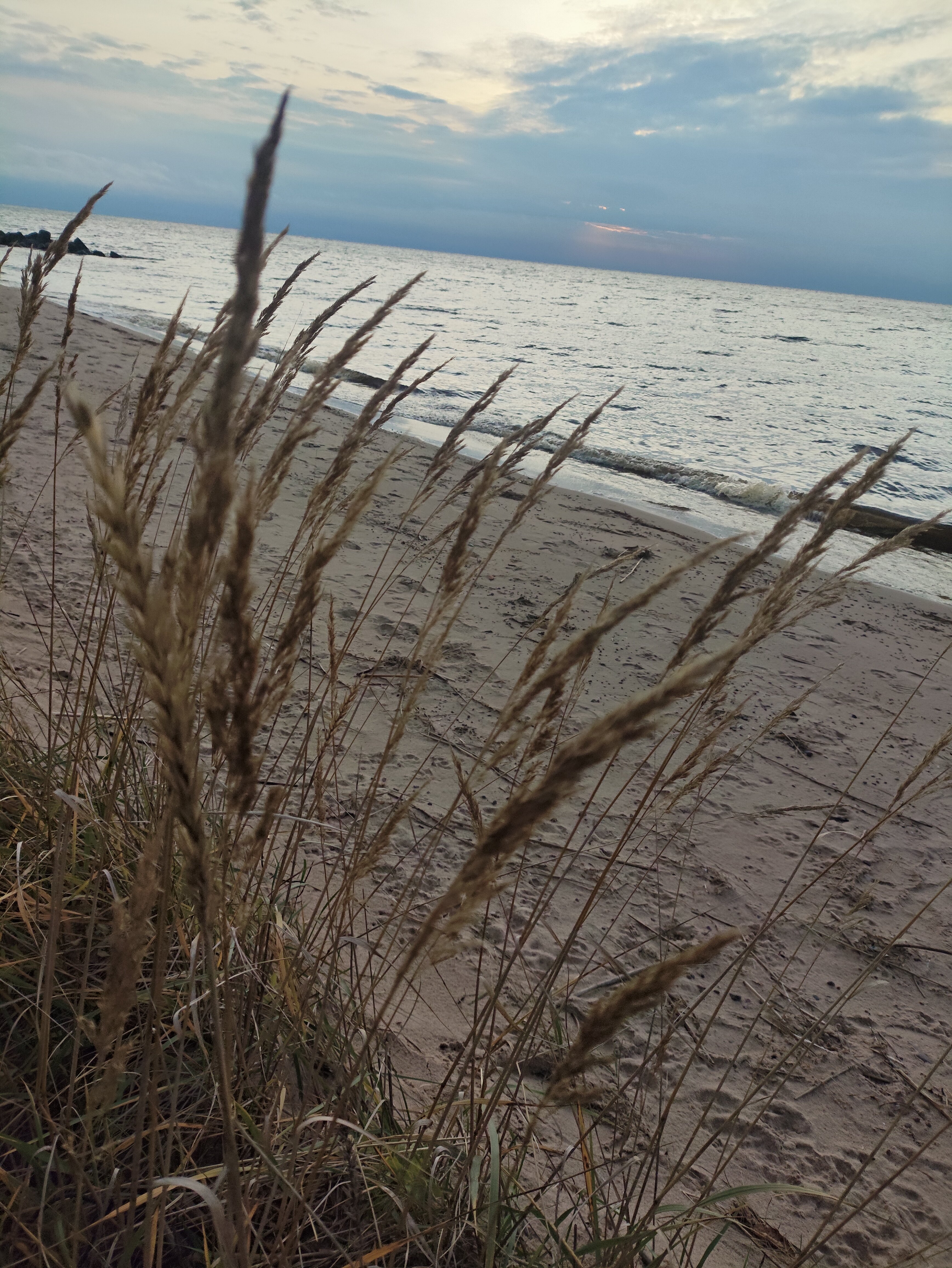 Фото Загородный клуб Устье