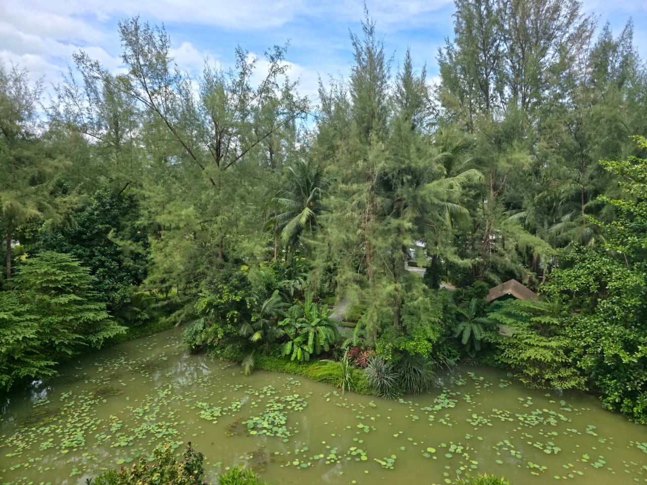 Фото Avani Khao Lak Resort