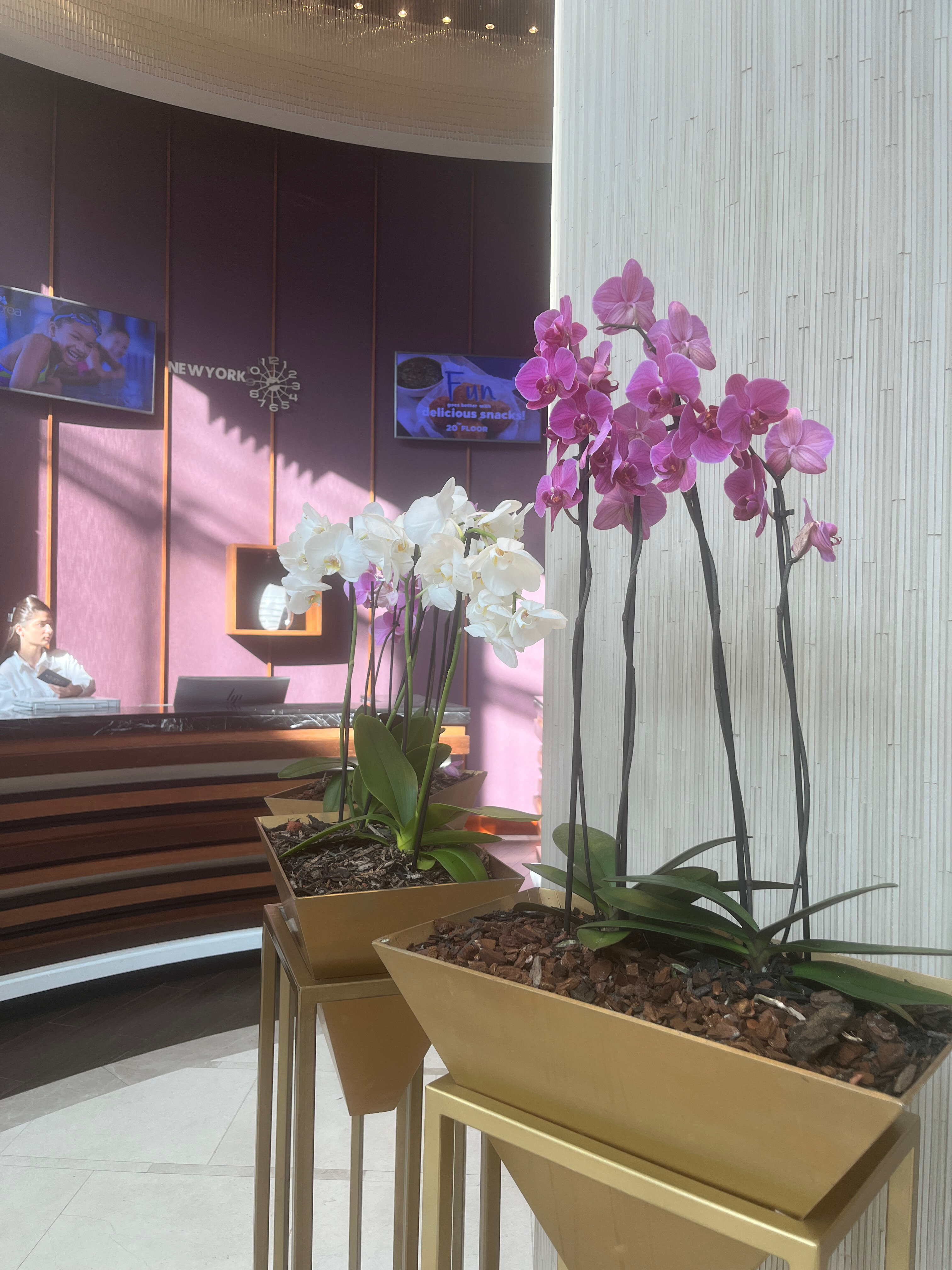 Фото Hilton Batumi