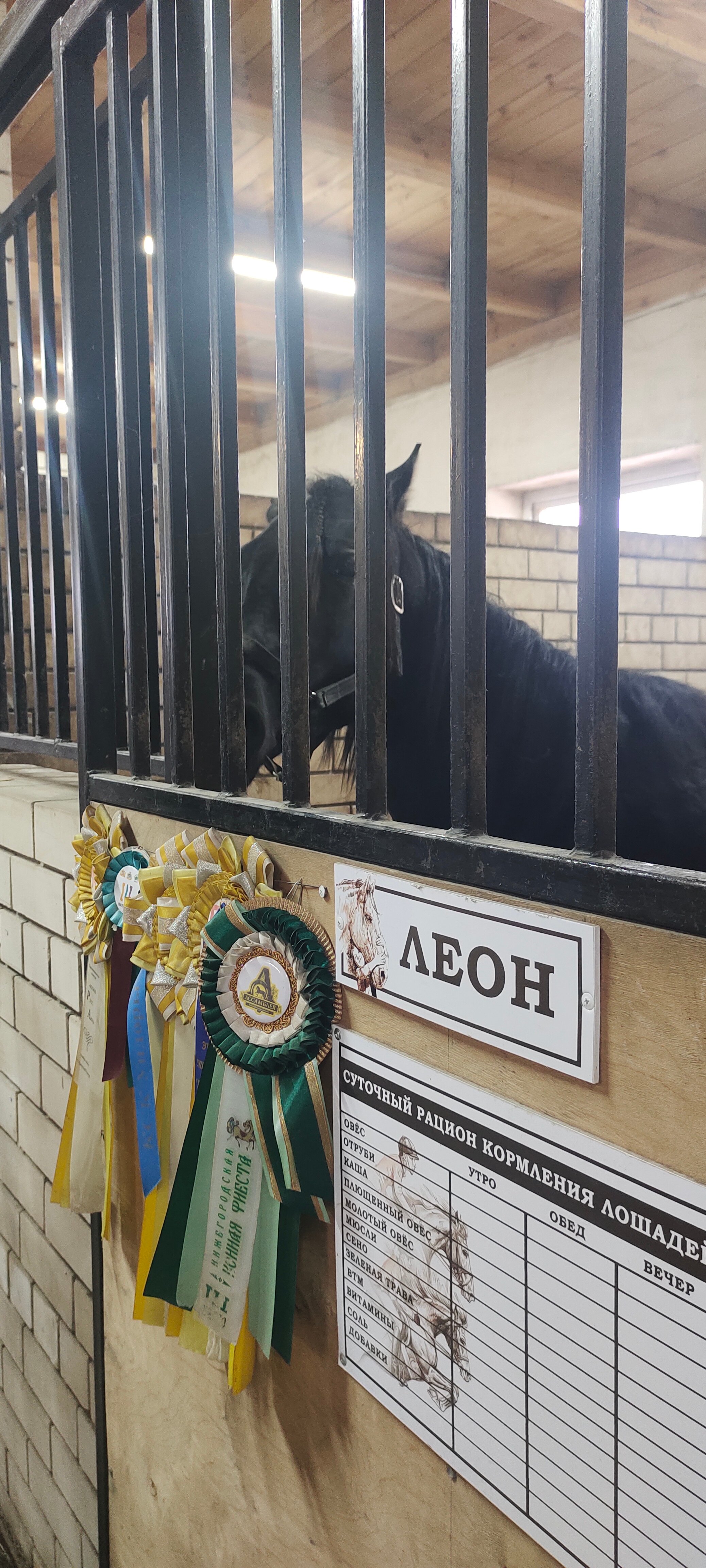 Фото Казачий Хутор