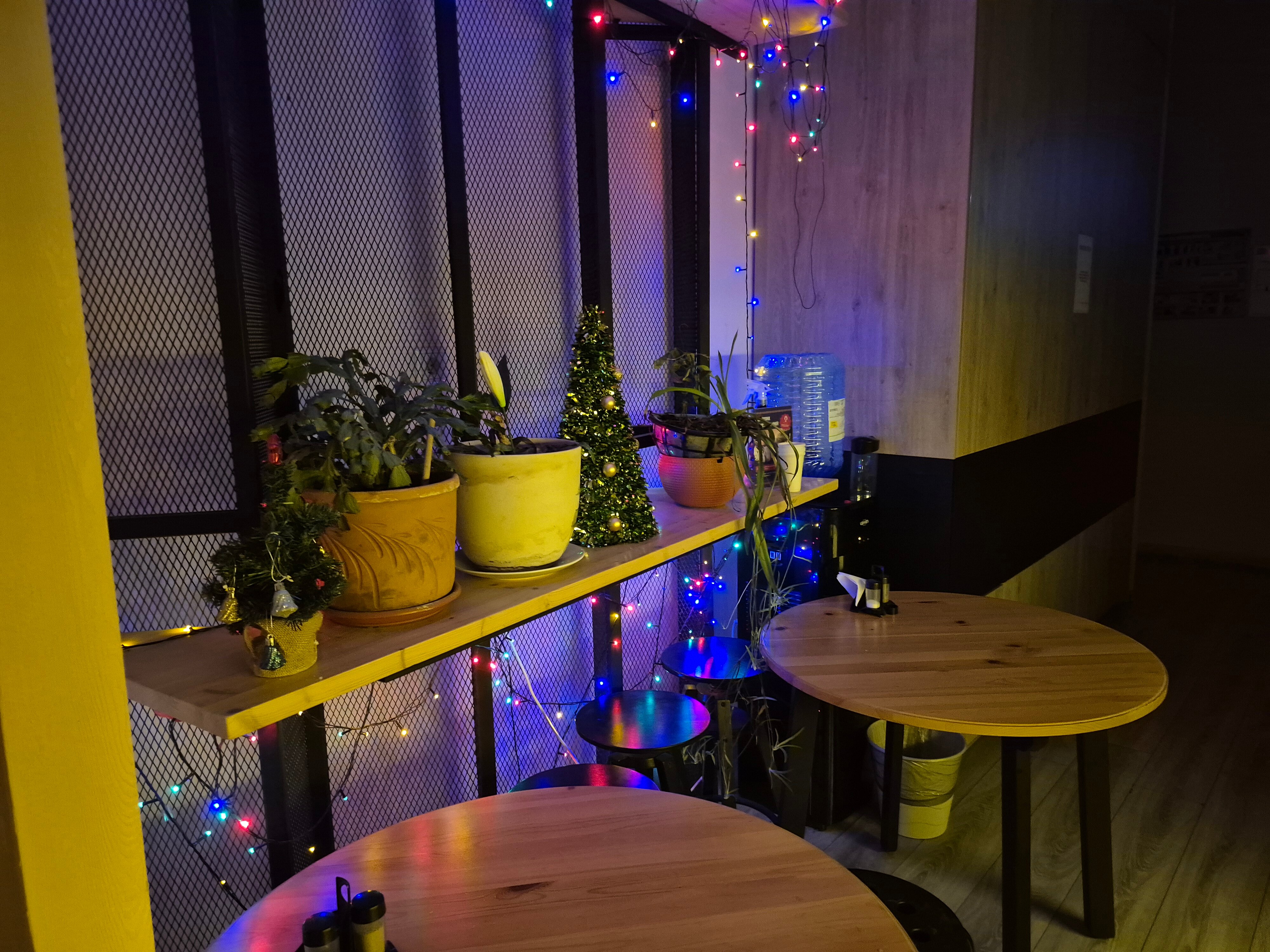 Фото Зелёный отель